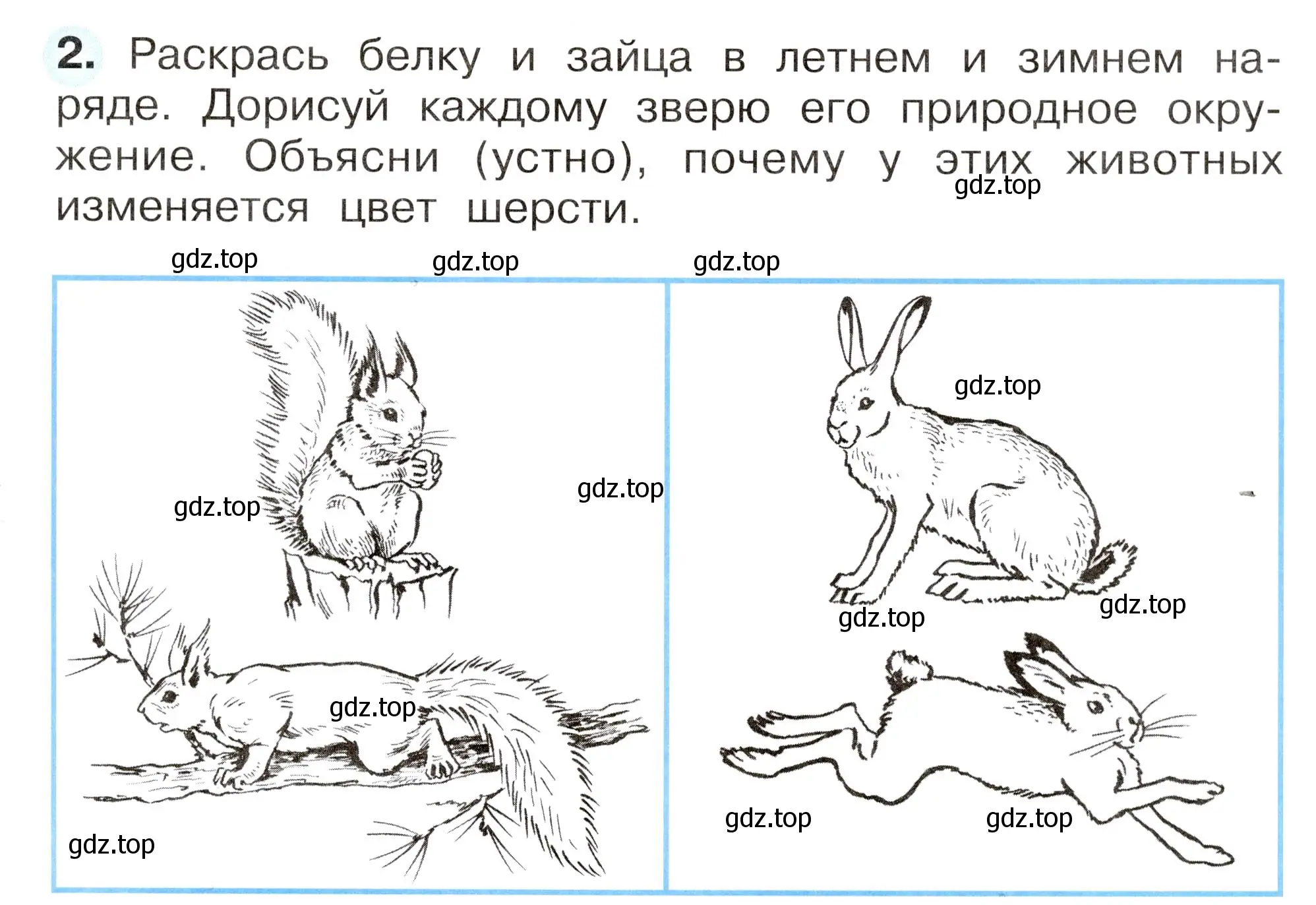 Условие номер 2 (страница 59) гдз по окружающему миру 2 класс Плешаков, Новицкая, рабочая тетрадь 1 часть