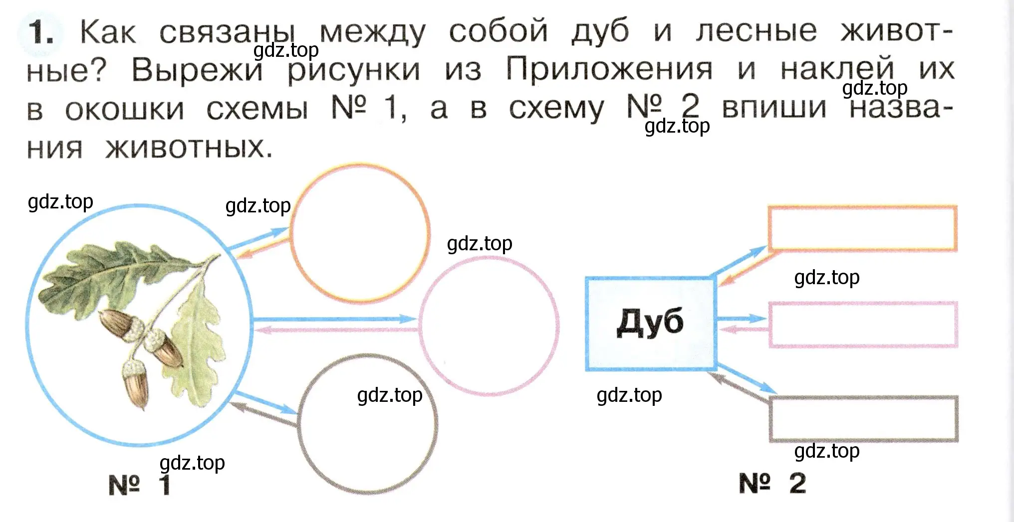 Условие номер 1 (страница 60) гдз по окружающему миру 2 класс Плешаков, Новицкая, рабочая тетрадь 1 часть