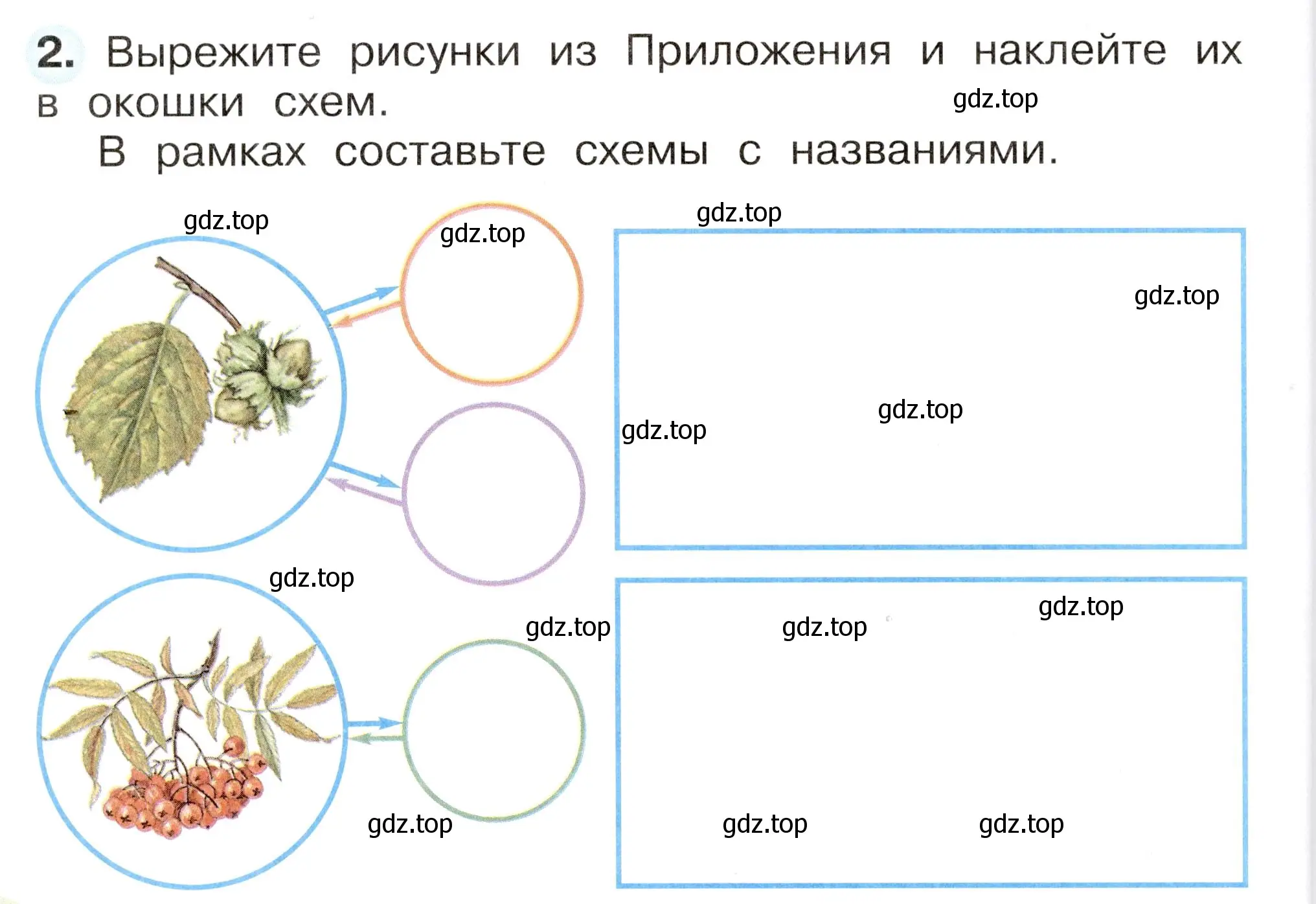 Условие номер 2 (страница 60) гдз по окружающему миру 2 класс Плешаков, Новицкая, рабочая тетрадь 1 часть