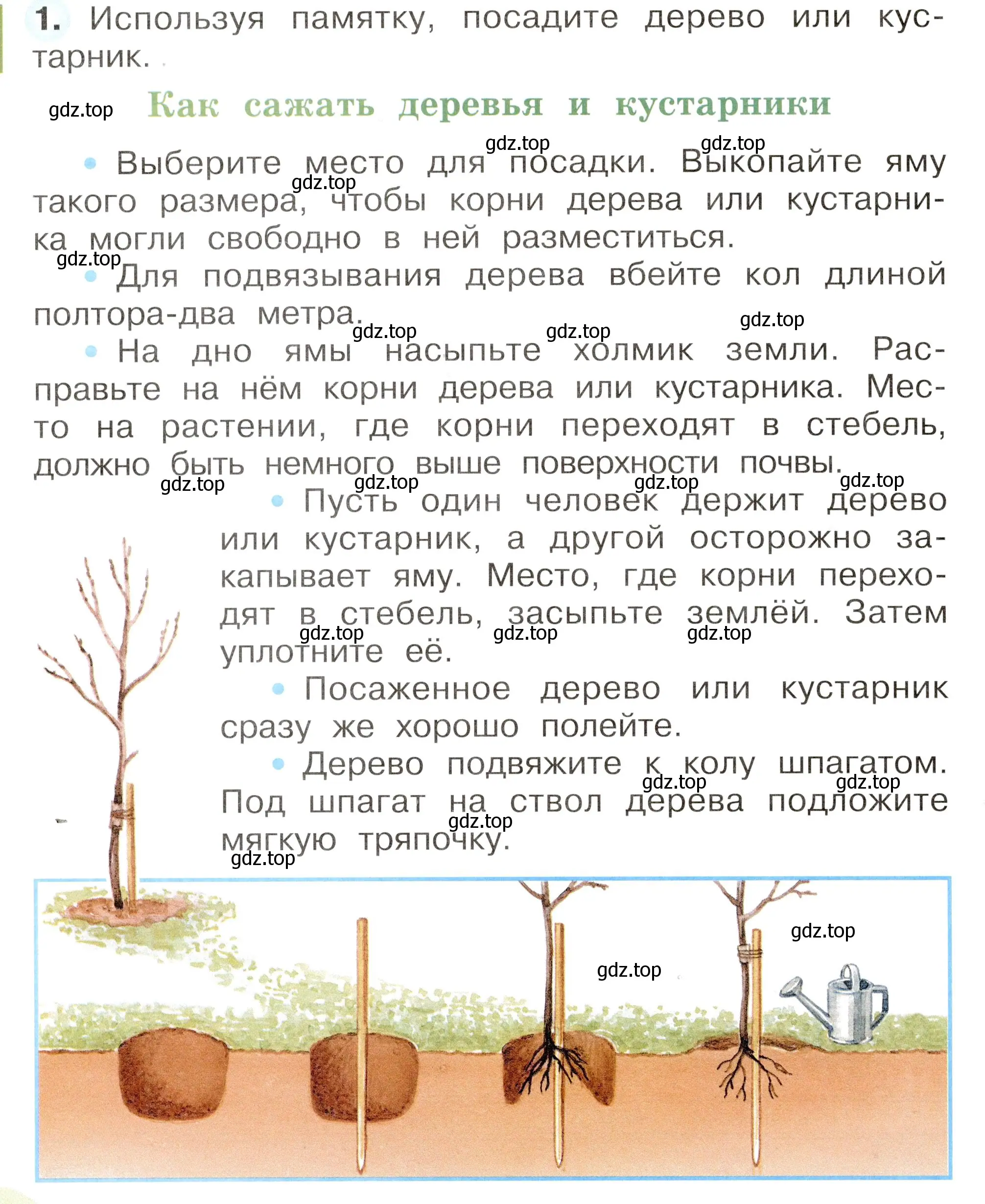 Условие номер 1 (страница 66) гдз по окружающему миру 2 класс Плешаков, Новицкая, рабочая тетрадь 1 часть