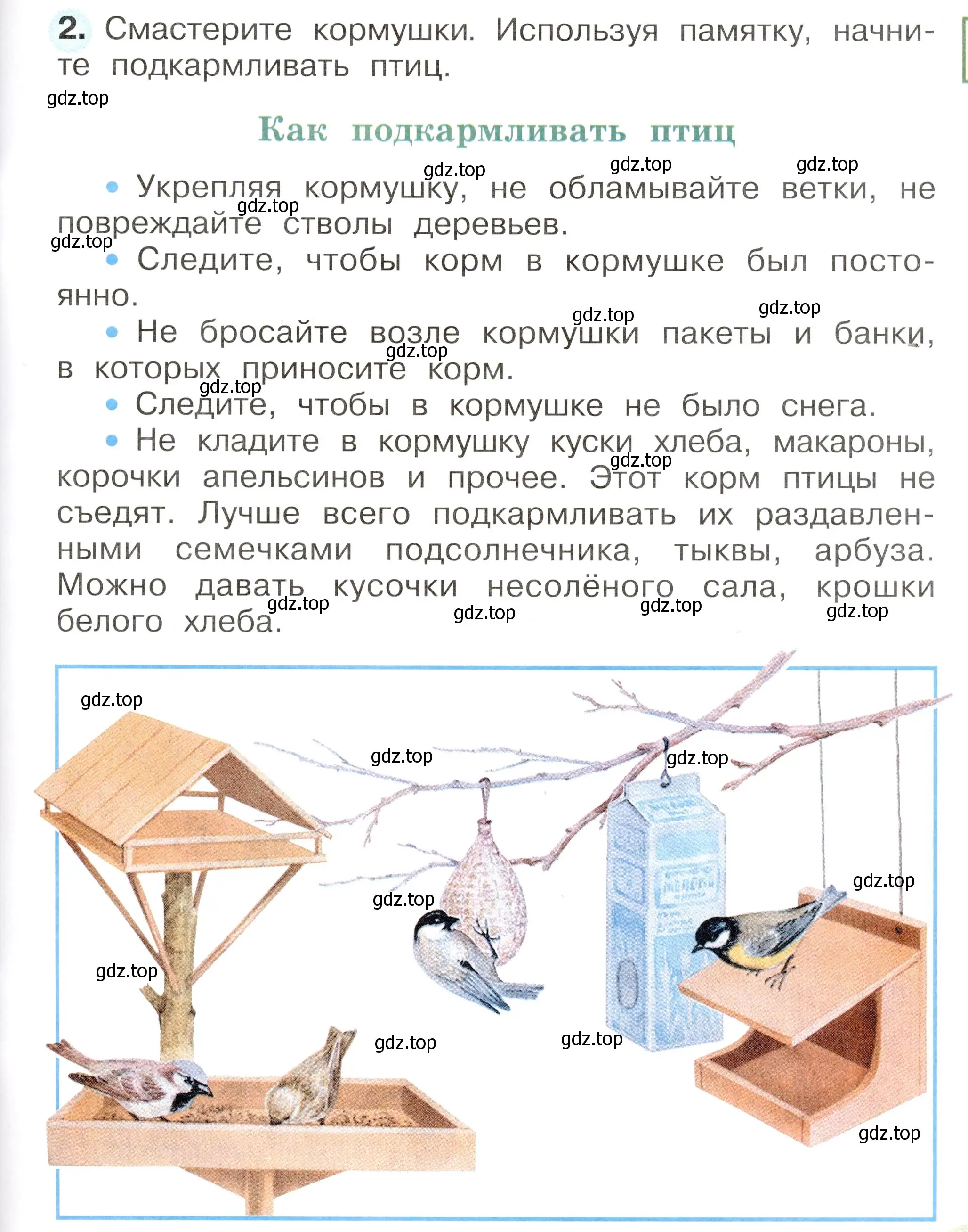 Условие номер 2 (страница 67) гдз по окружающему миру 2 класс Плешаков, Новицкая, рабочая тетрадь 1 часть