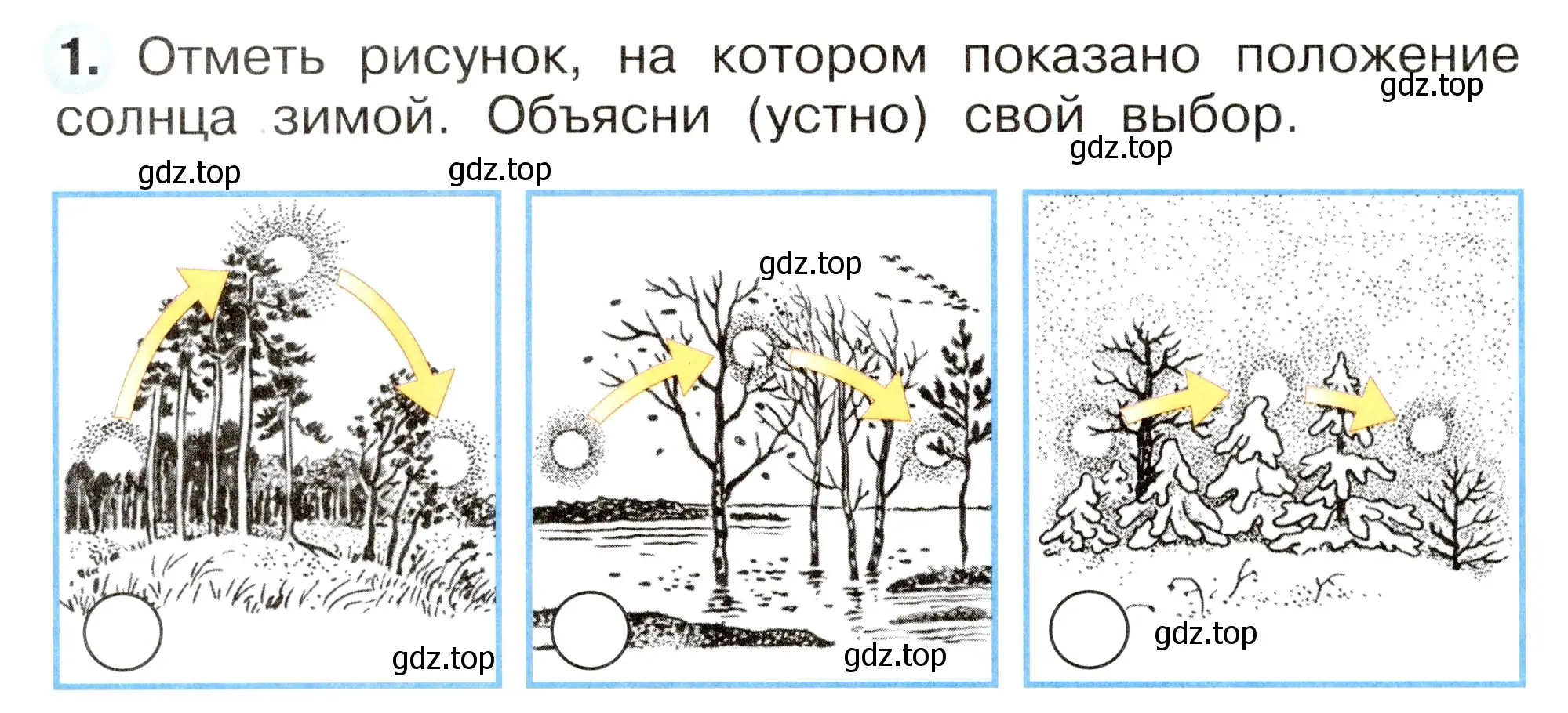 Изменения в неживой природе время года лето. Положение солнца зимой. Положение солнца зимой рисунок. Положение солнца осенью. Положение солнца в зависимости от времени года.