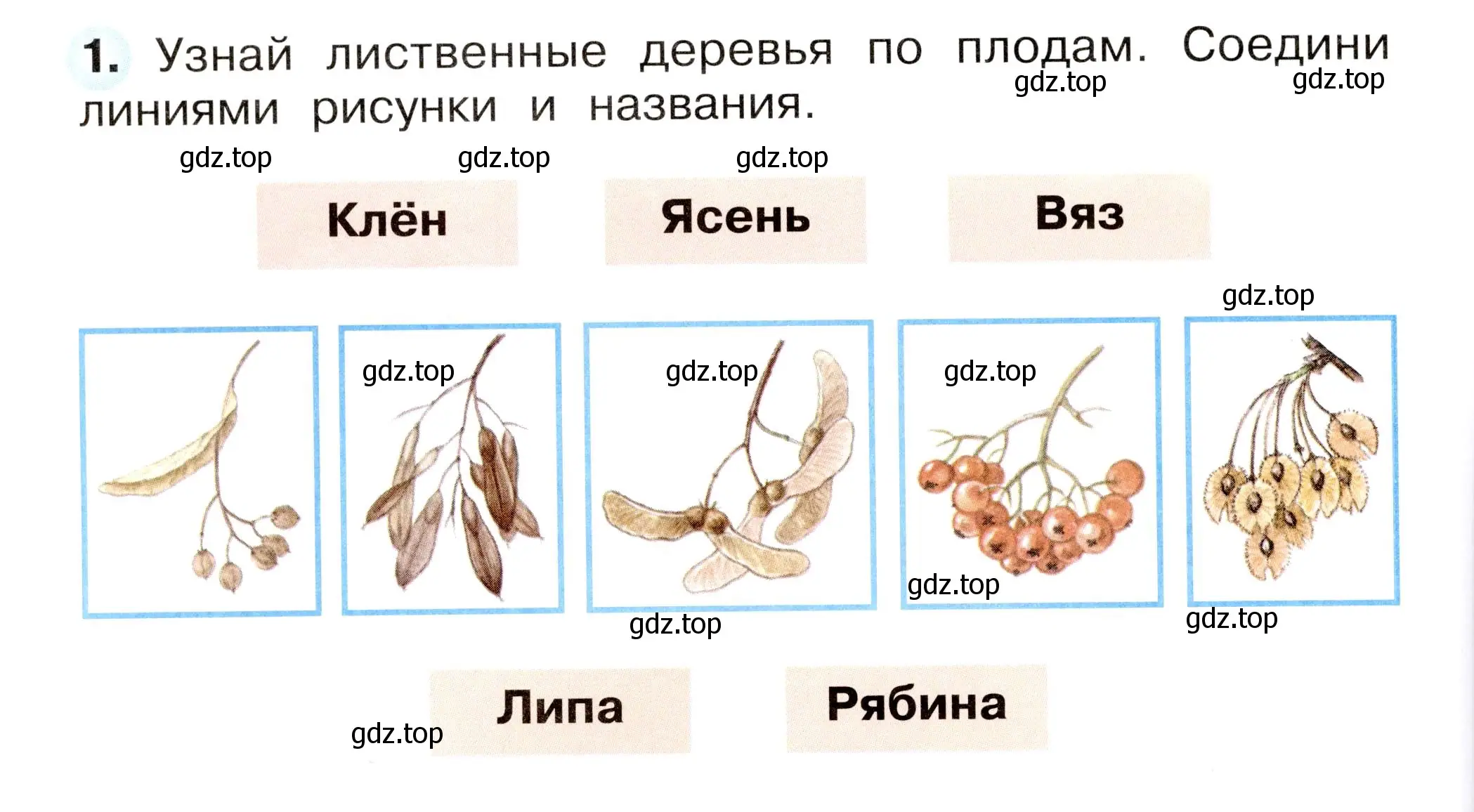 Условие номер 1 (страница 12) гдз по окружающему миру 2 класс Плешаков, Новицкая, рабочая тетрадь 2 часть