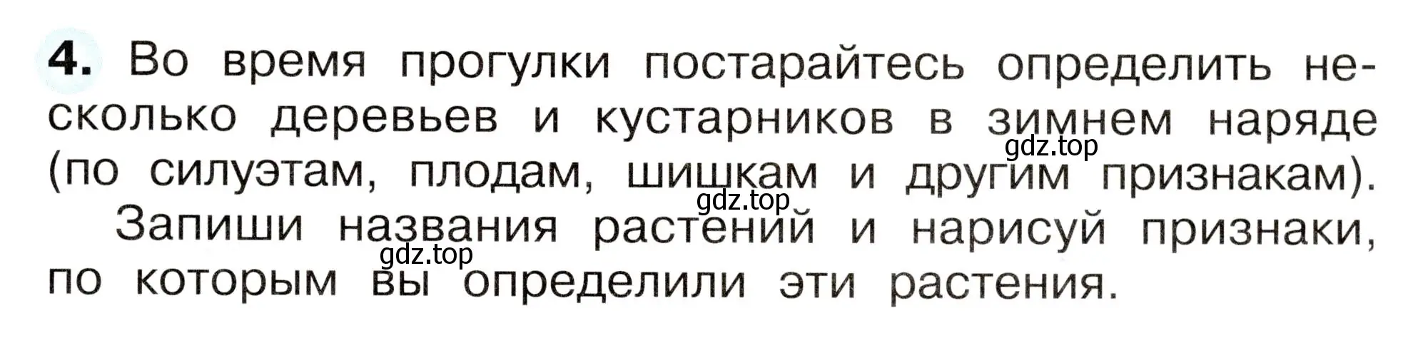 Условие номер 4 (страница 13) гдз по окружающему миру 2 класс Плешаков, Новицкая, рабочая тетрадь 2 часть