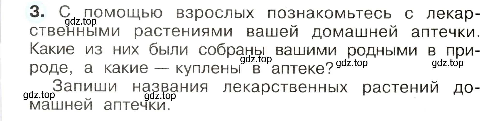 Условие номер 3 (страница 17) гдз по окружающему миру 2 класс Плешаков, Новицкая, рабочая тетрадь 2 часть