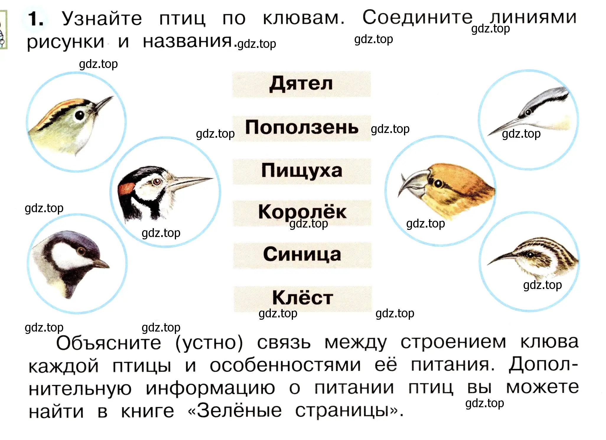 Условие номер 1 (страница 18) гдз по окружающему миру 2 класс Плешаков, Новицкая, рабочая тетрадь 2 часть