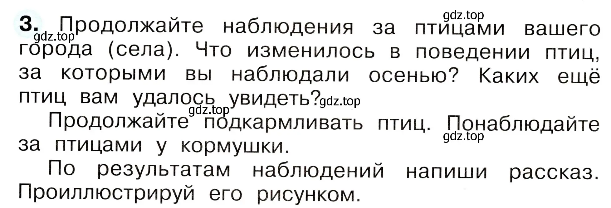 Условие номер 3 (страница 19) гдз по окружающему миру 2 класс Плешаков, Новицкая, рабочая тетрадь 2 часть