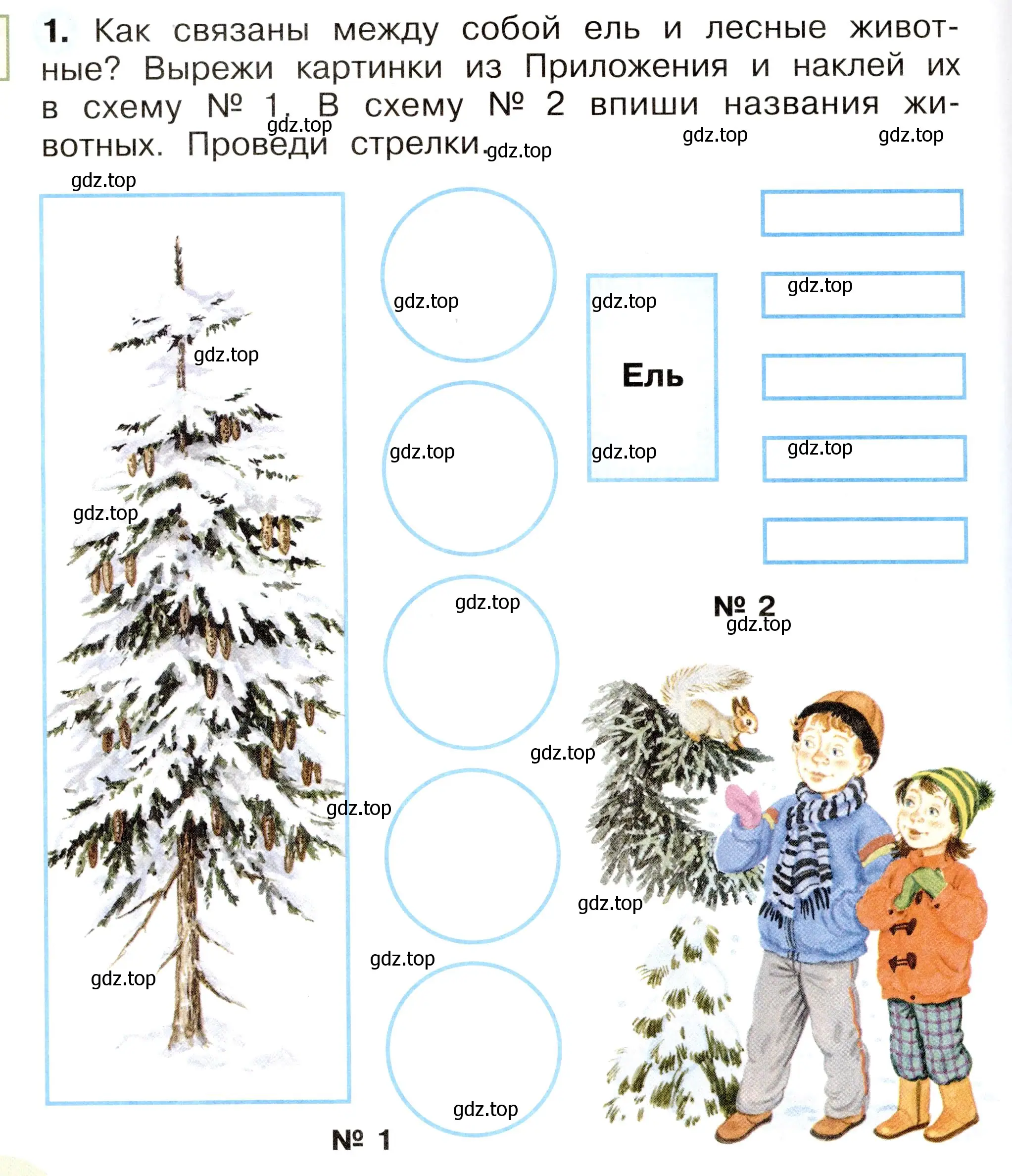 Условие номер 1 (страница 20) гдз по окружающему миру 2 класс Плешаков, Новицкая, рабочая тетрадь 2 часть