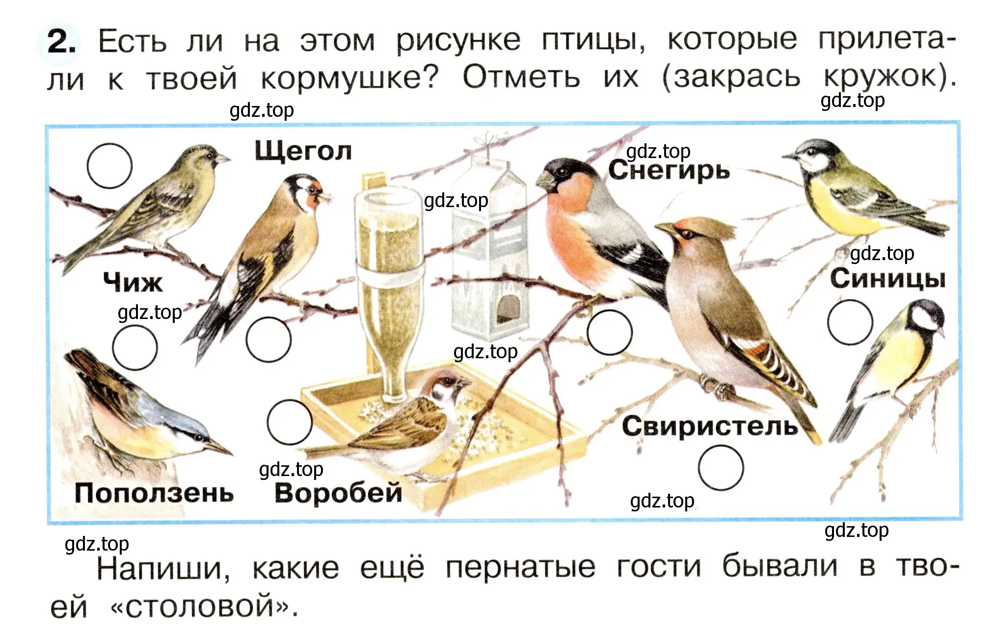 Условие номер 2 (страница 28) гдз по окружающему миру 2 класс Плешаков, Новицкая, рабочая тетрадь 2 часть