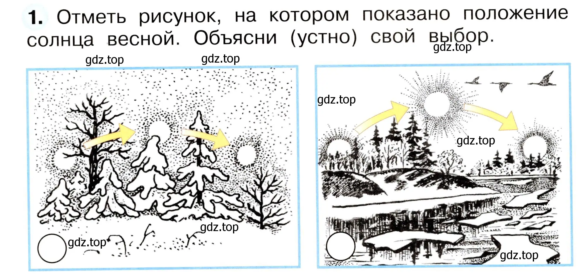 Условие номер 1 (страница 34) гдз по окружающему миру 2 класс Плешаков, Новицкая, рабочая тетрадь 2 часть