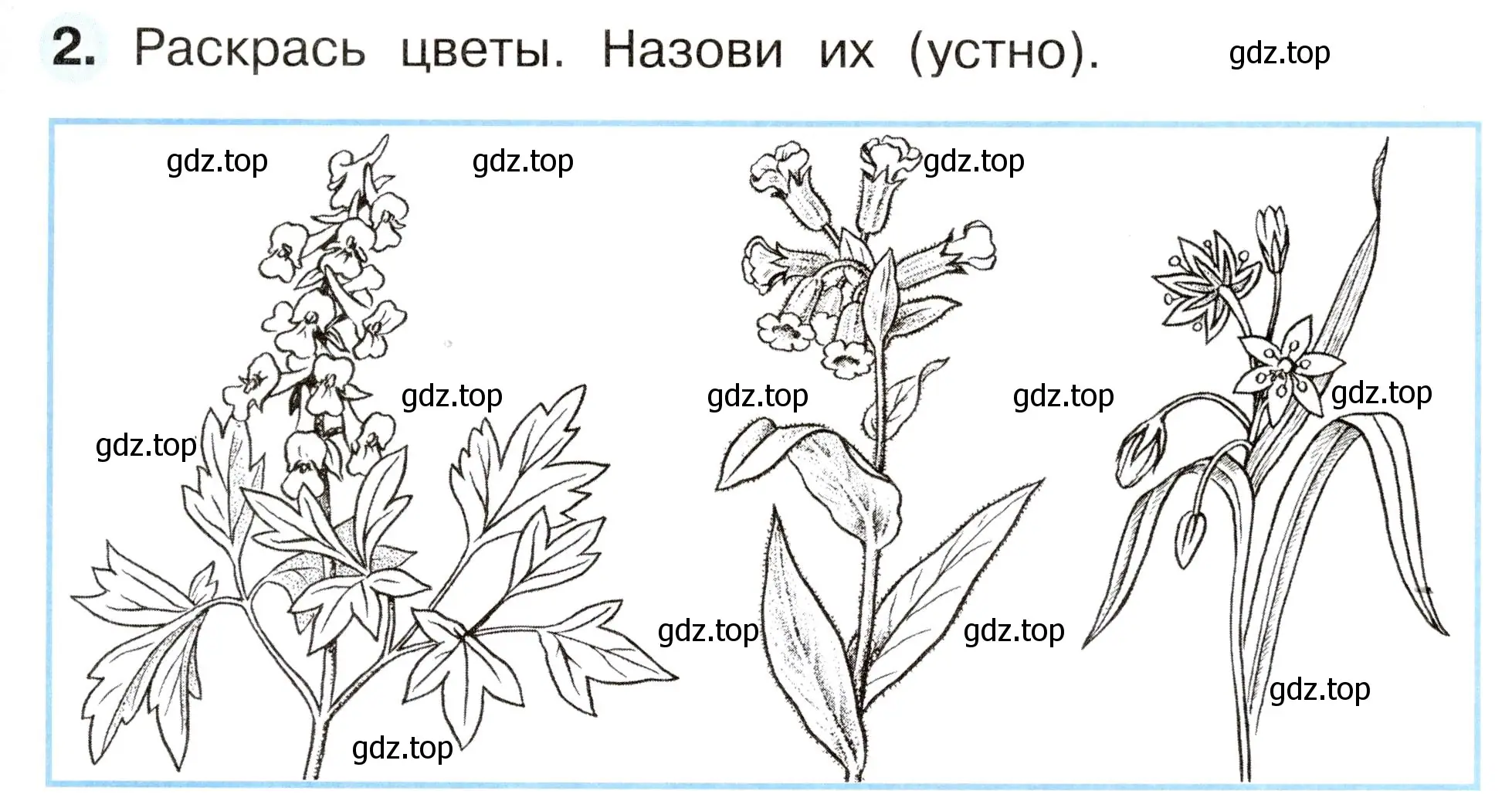 Условие номер 2 (страница 41) гдз по окружающему миру 2 класс Плешаков, Новицкая, рабочая тетрадь 2 часть