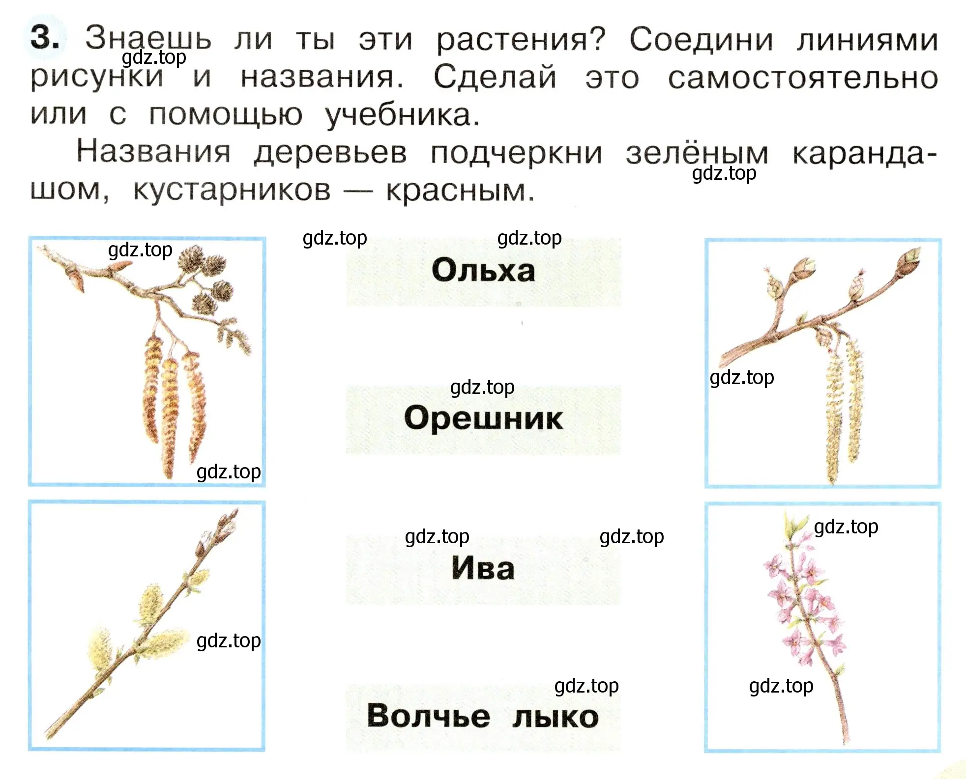 Условие номер 3 (страница 41) гдз по окружающему миру 2 класс Плешаков, Новицкая, рабочая тетрадь 2 часть