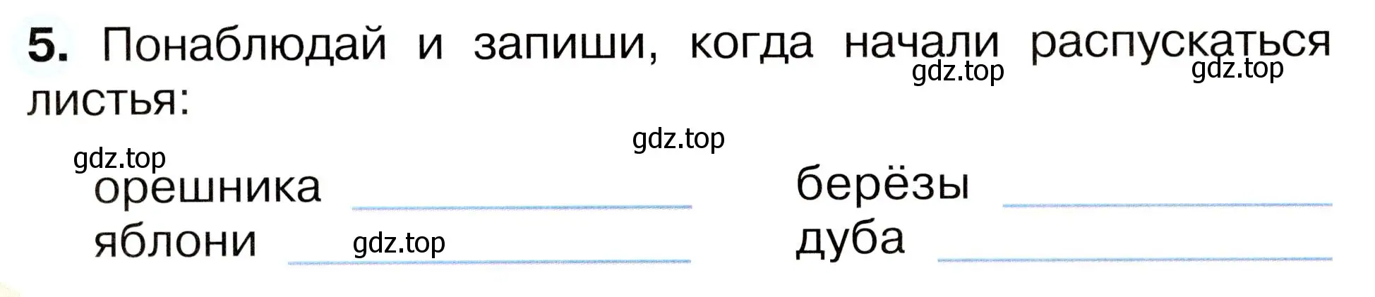 Условие номер 5 (страница 42) гдз по окружающему миру 2 класс Плешаков, Новицкая, рабочая тетрадь 2 часть