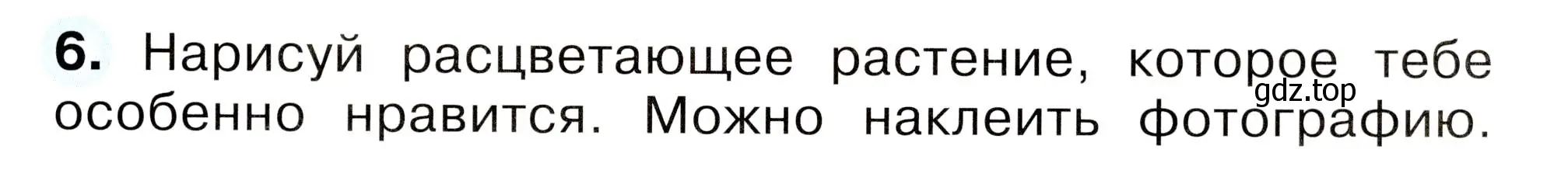 Условие номер 6 (страница 43) гдз по окружающему миру 2 класс Плешаков, Новицкая, рабочая тетрадь 2 часть