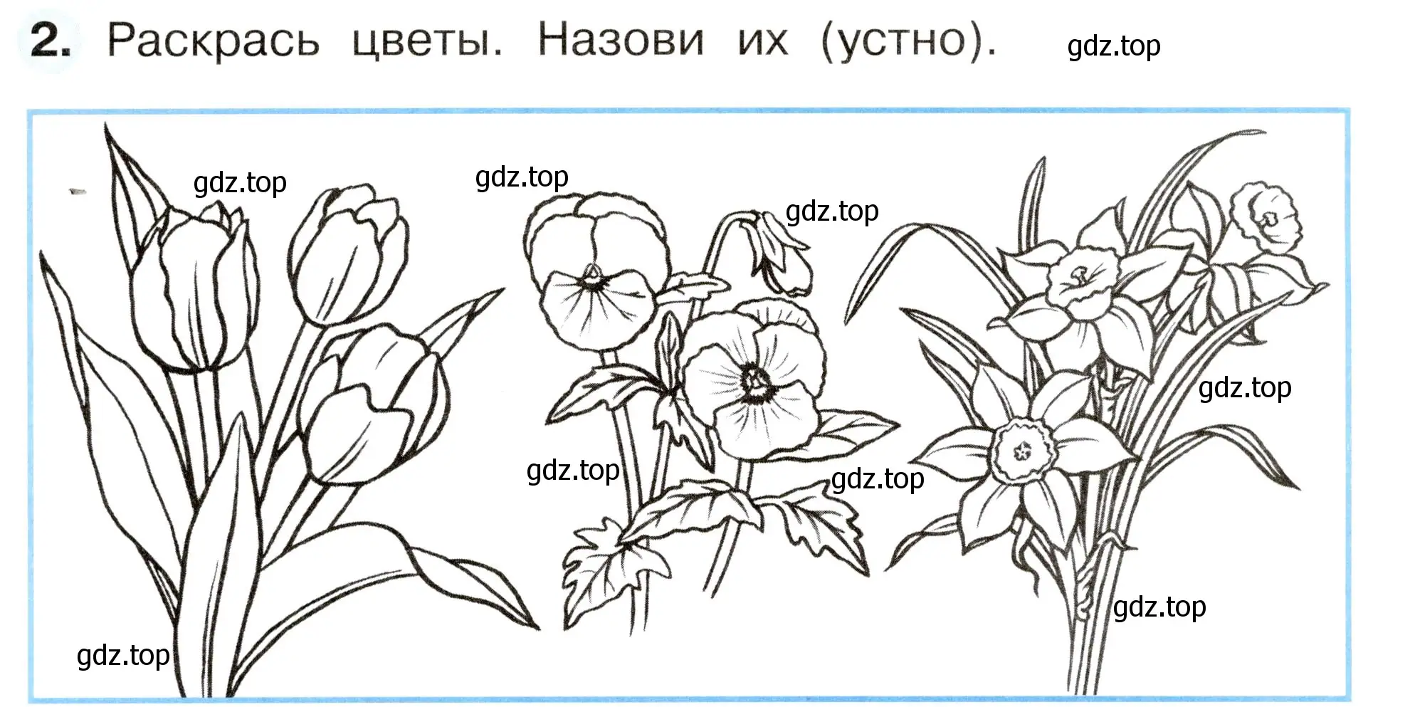 Условие номер 2 (страница 44) гдз по окружающему миру 2 класс Плешаков, Новицкая, рабочая тетрадь 2 часть