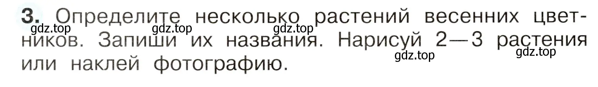 Условие номер 3 (страница 45) гдз по окружающему миру 2 класс Плешаков, Новицкая, рабочая тетрадь 2 часть