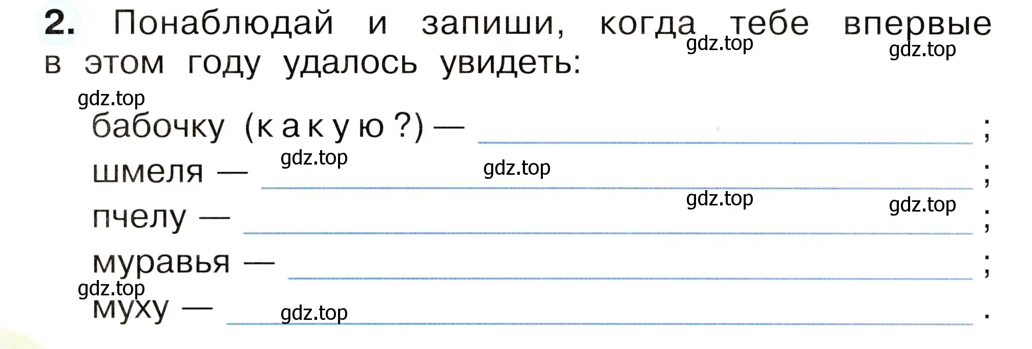 Условие номер 2 (страница 46) гдз по окружающему миру 2 класс Плешаков, Новицкая, рабочая тетрадь 2 часть