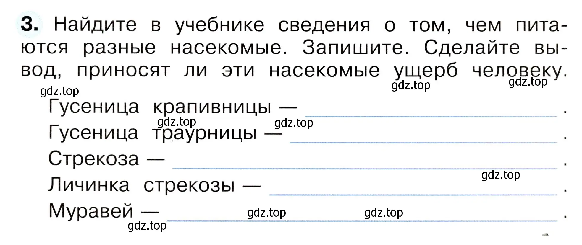 Условие номер 3 (страница 47) гдз по окружающему миру 2 класс Плешаков, Новицкая, рабочая тетрадь 2 часть