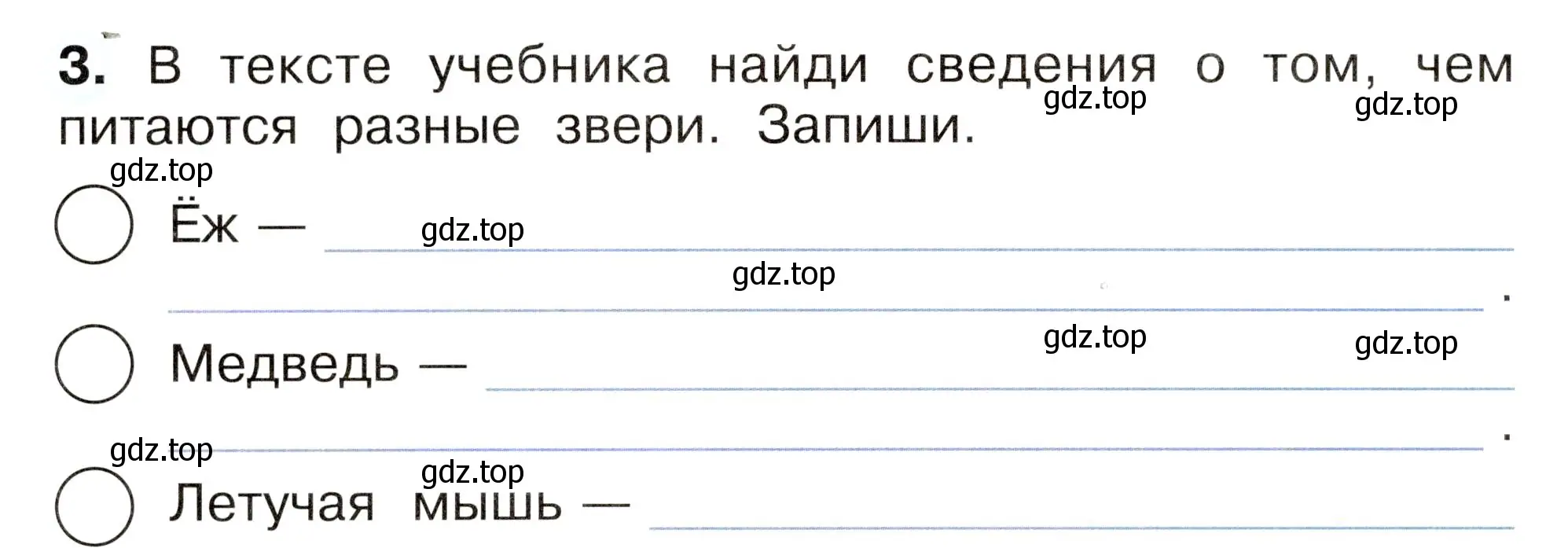 Условие номер 3 (страница 48) гдз по окружающему миру 2 класс Плешаков, Новицкая, рабочая тетрадь 2 часть