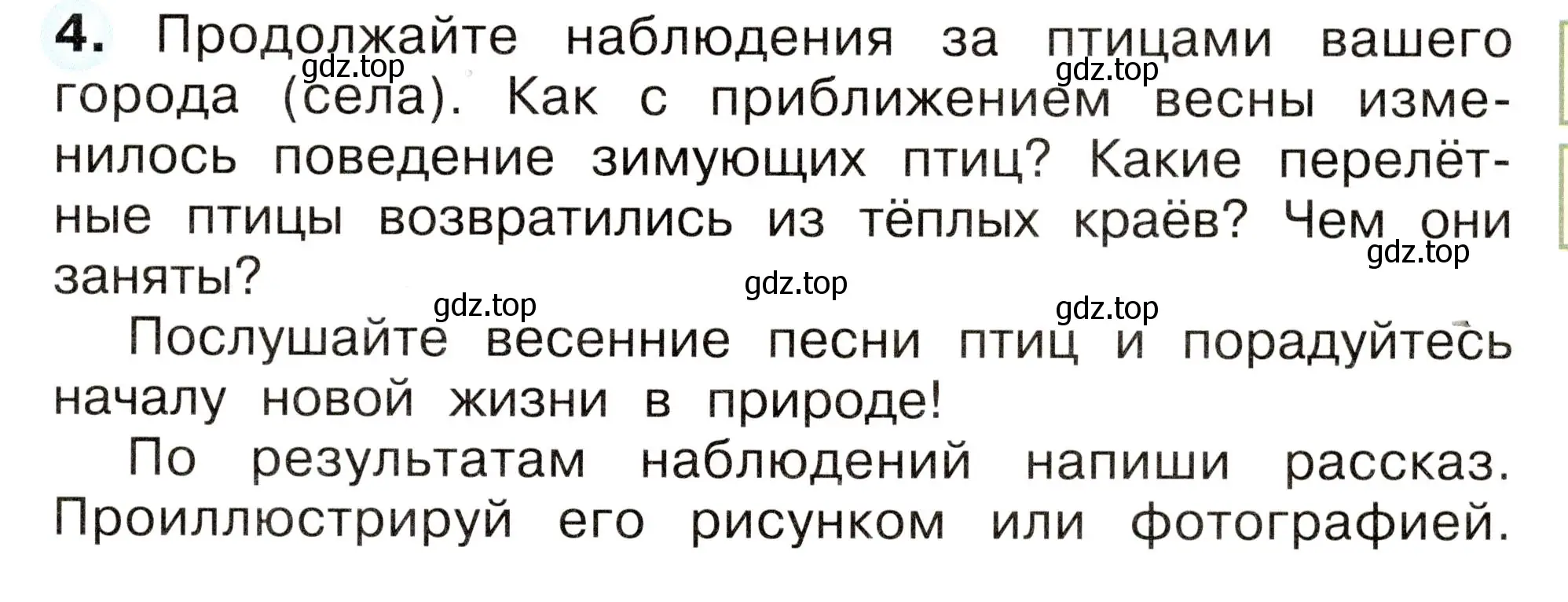 Условие номер 4 (страница 49) гдз по окружающему миру 2 класс Плешаков, Новицкая, рабочая тетрадь 2 часть