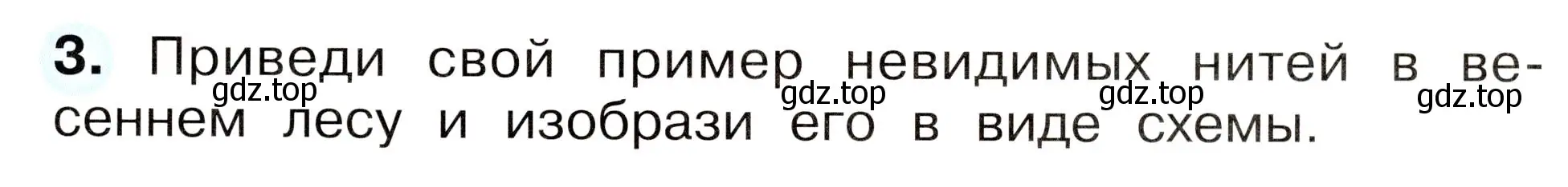 Условие номер 3 (страница 51) гдз по окружающему миру 2 класс Плешаков, Новицкая, рабочая тетрадь 2 часть