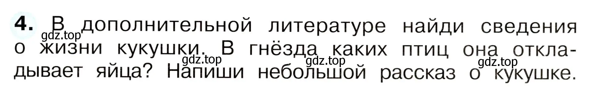 Условие номер 4 (страница 51) гдз по окружающему миру 2 класс Плешаков, Новицкая, рабочая тетрадь 2 часть