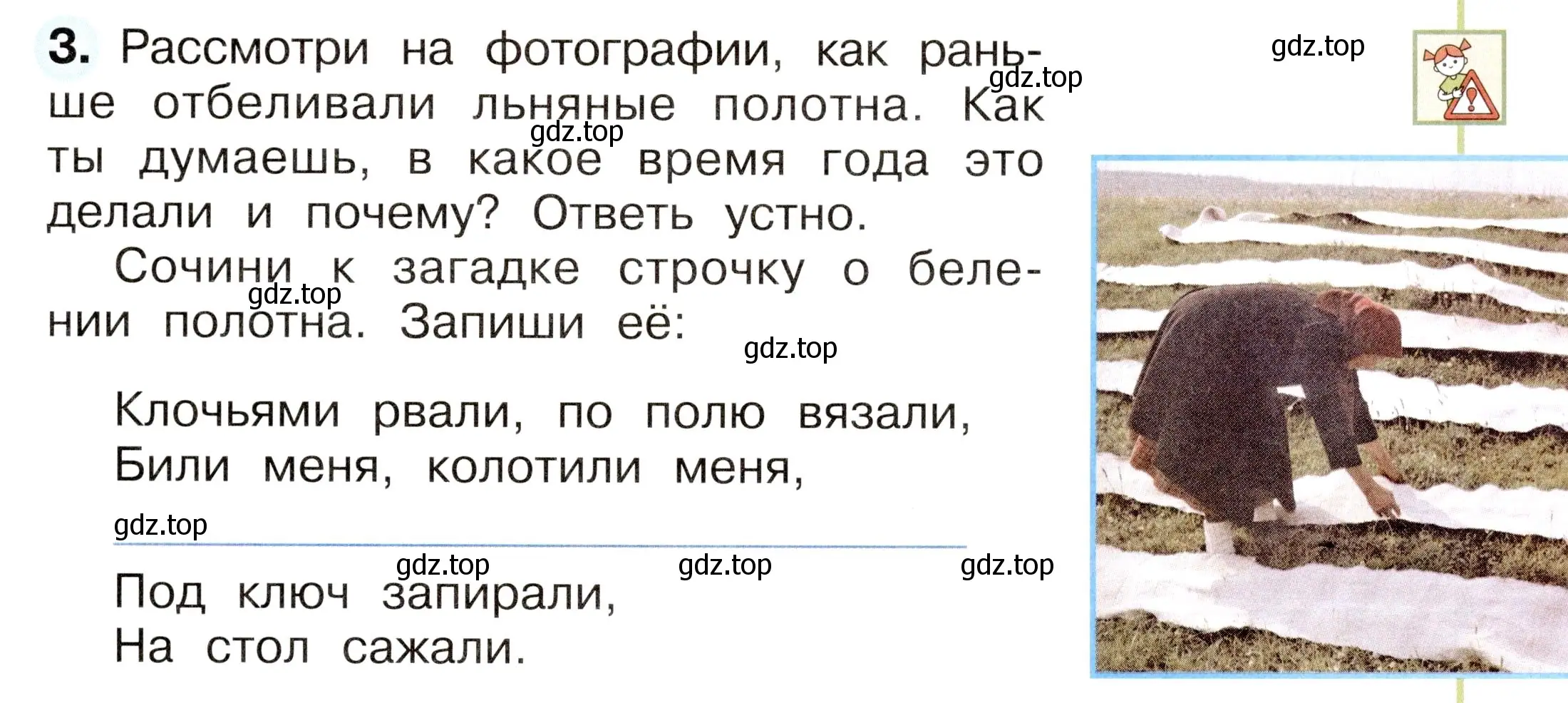 Условие номер 3 (страница 53) гдз по окружающему миру 2 класс Плешаков, Новицкая, рабочая тетрадь 2 часть