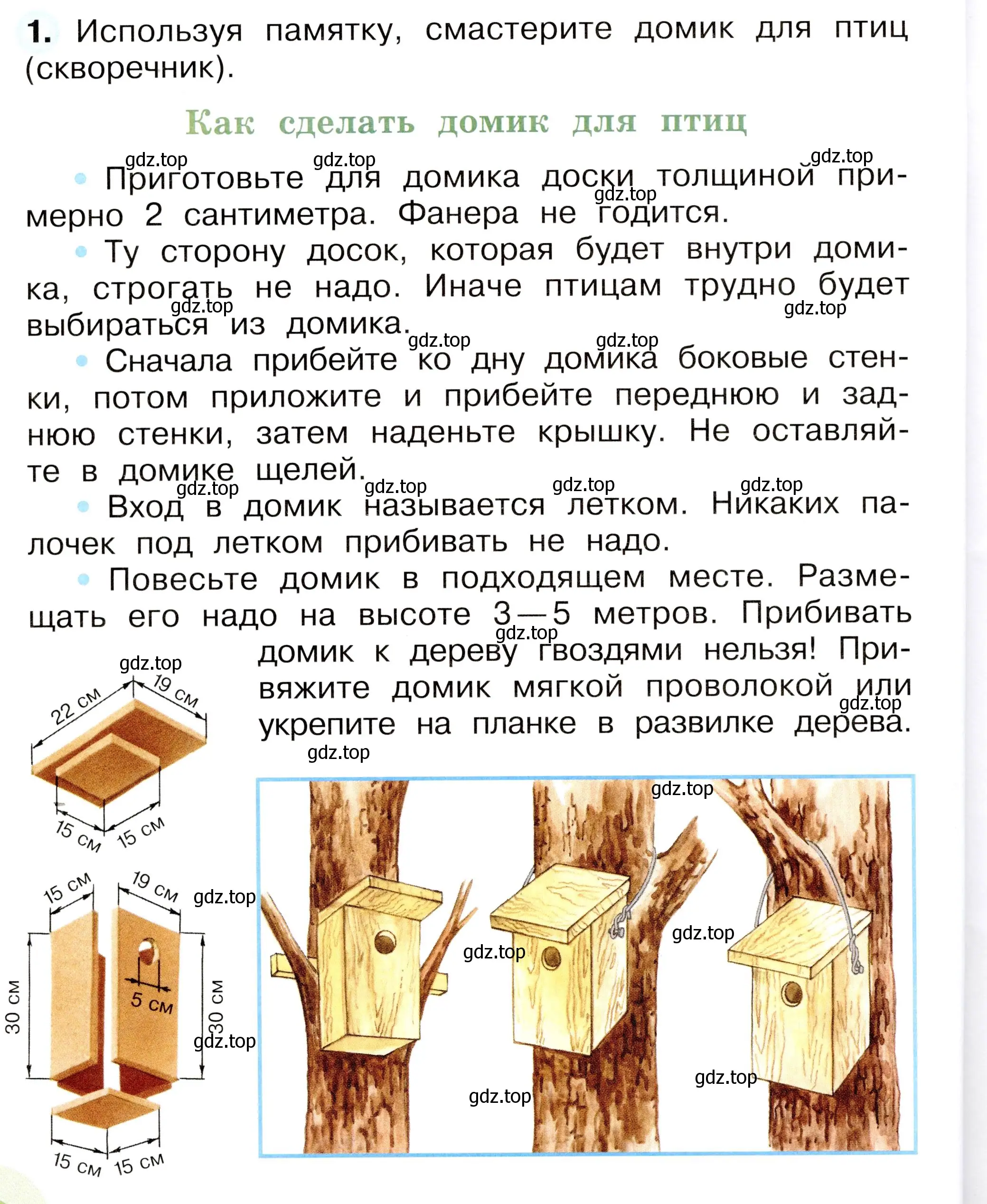 Условие номер 1 (страница 58) гдз по окружающему миру 2 класс Плешаков, Новицкая, рабочая тетрадь 2 часть