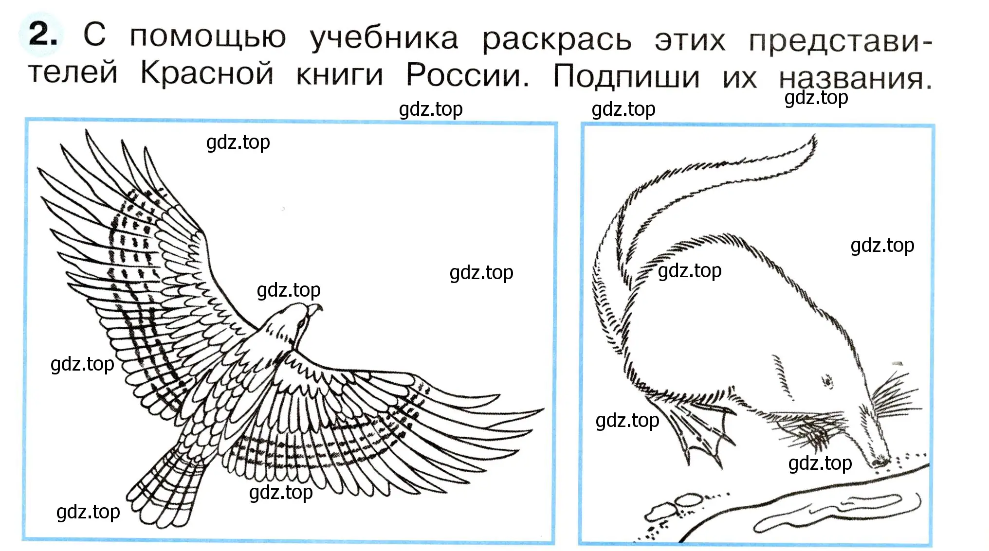 Условие номер 2 (страница 59) гдз по окружающему миру 2 класс Плешаков, Новицкая, рабочая тетрадь 2 часть