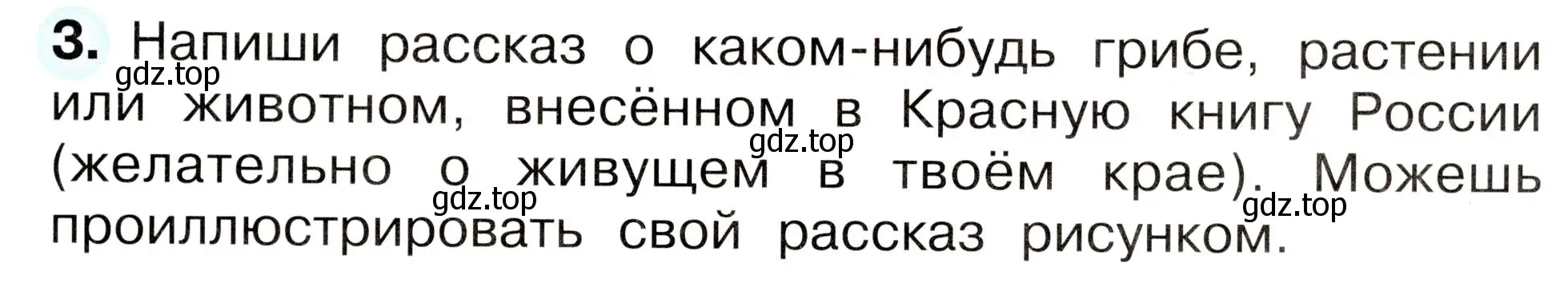 Условие номер 3 (страница 59) гдз по окружающему миру 2 класс Плешаков, Новицкая, рабочая тетрадь 2 часть