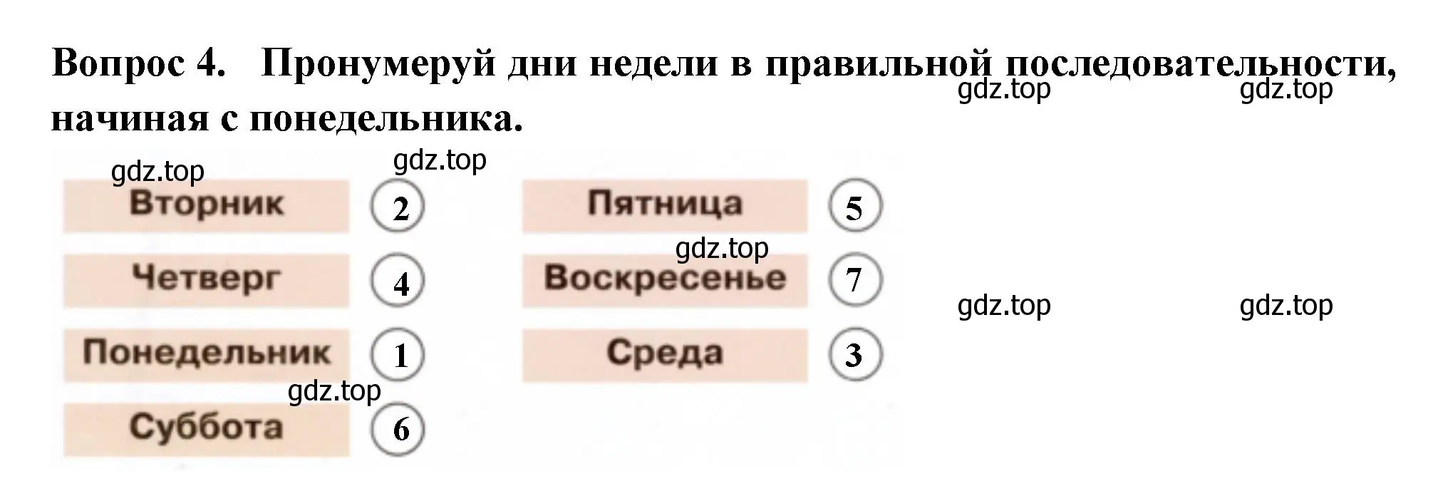 Решение номер 4 (страница 15) гдз по окружающему миру 2 класс Плешаков, Новицкая, рабочая тетрадь 1 часть