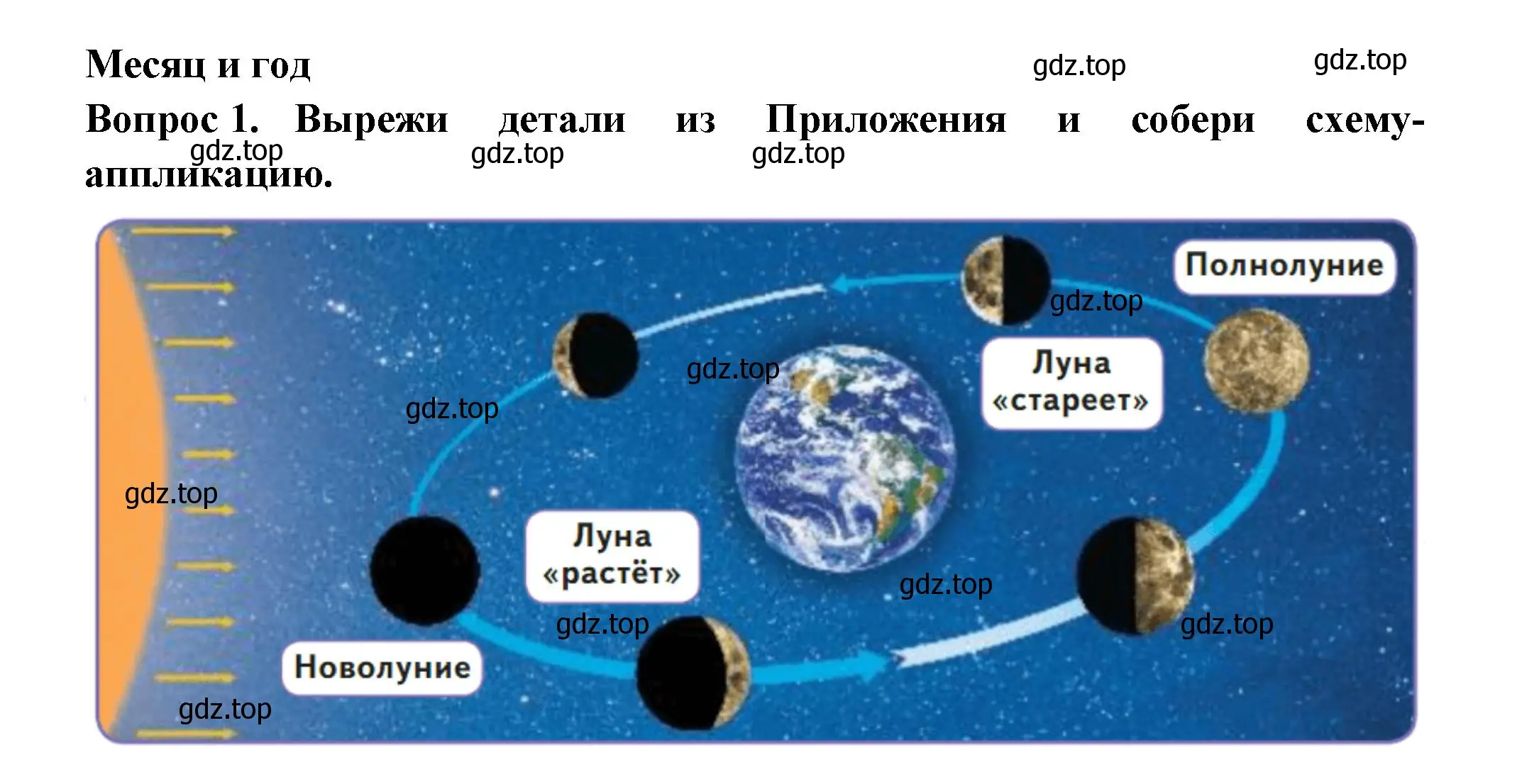 Решение номер 1 (страница 18) гдз по окружающему миру 2 класс Плешаков, Новицкая, рабочая тетрадь 1 часть