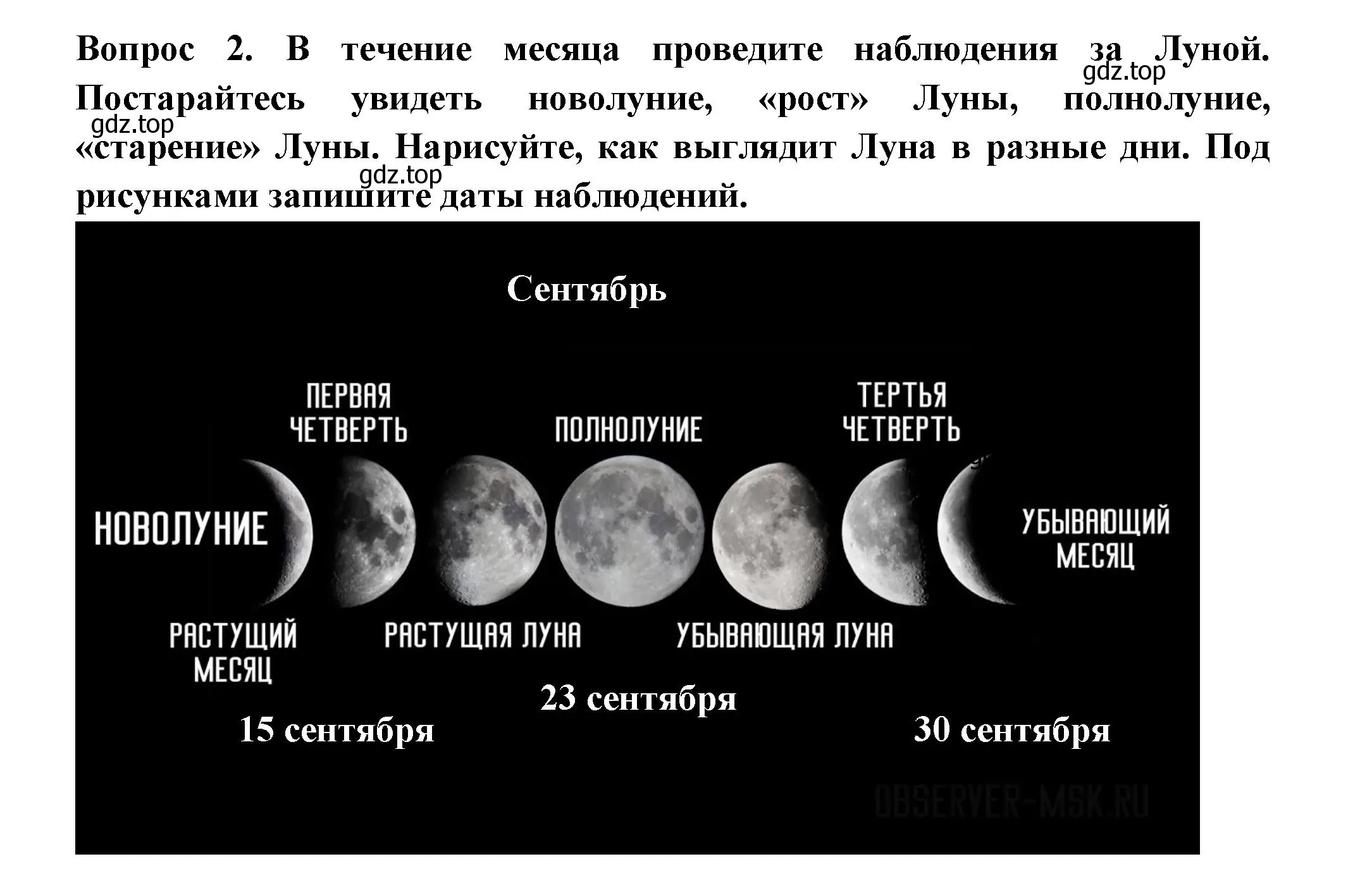 Решение номер 2 (страница 18) гдз по окружающему миру 2 класс Плешаков, Новицкая, рабочая тетрадь 1 часть