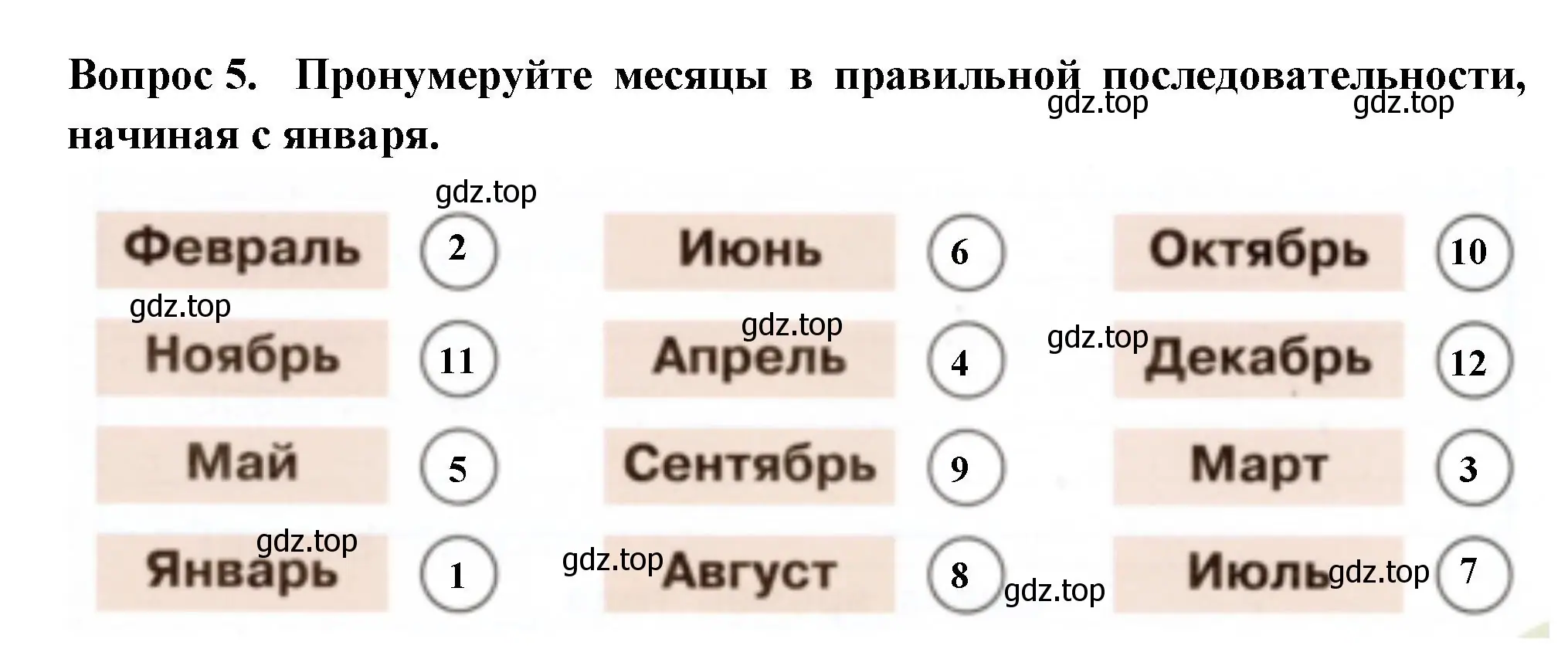 Решение номер 5 (страница 19) гдз по окружающему миру 2 класс Плешаков, Новицкая, рабочая тетрадь 1 часть