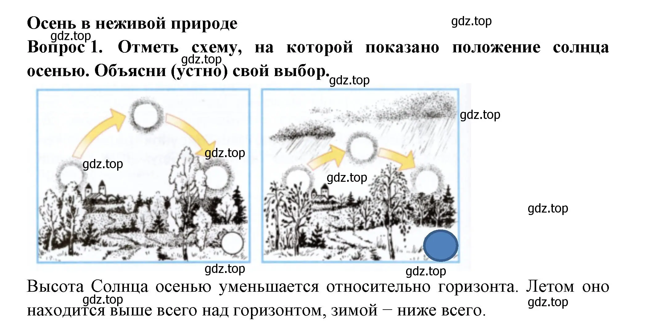 Решение номер 1 (страница 38) гдз по окружающему миру 2 класс Плешаков, Новицкая, рабочая тетрадь 1 часть