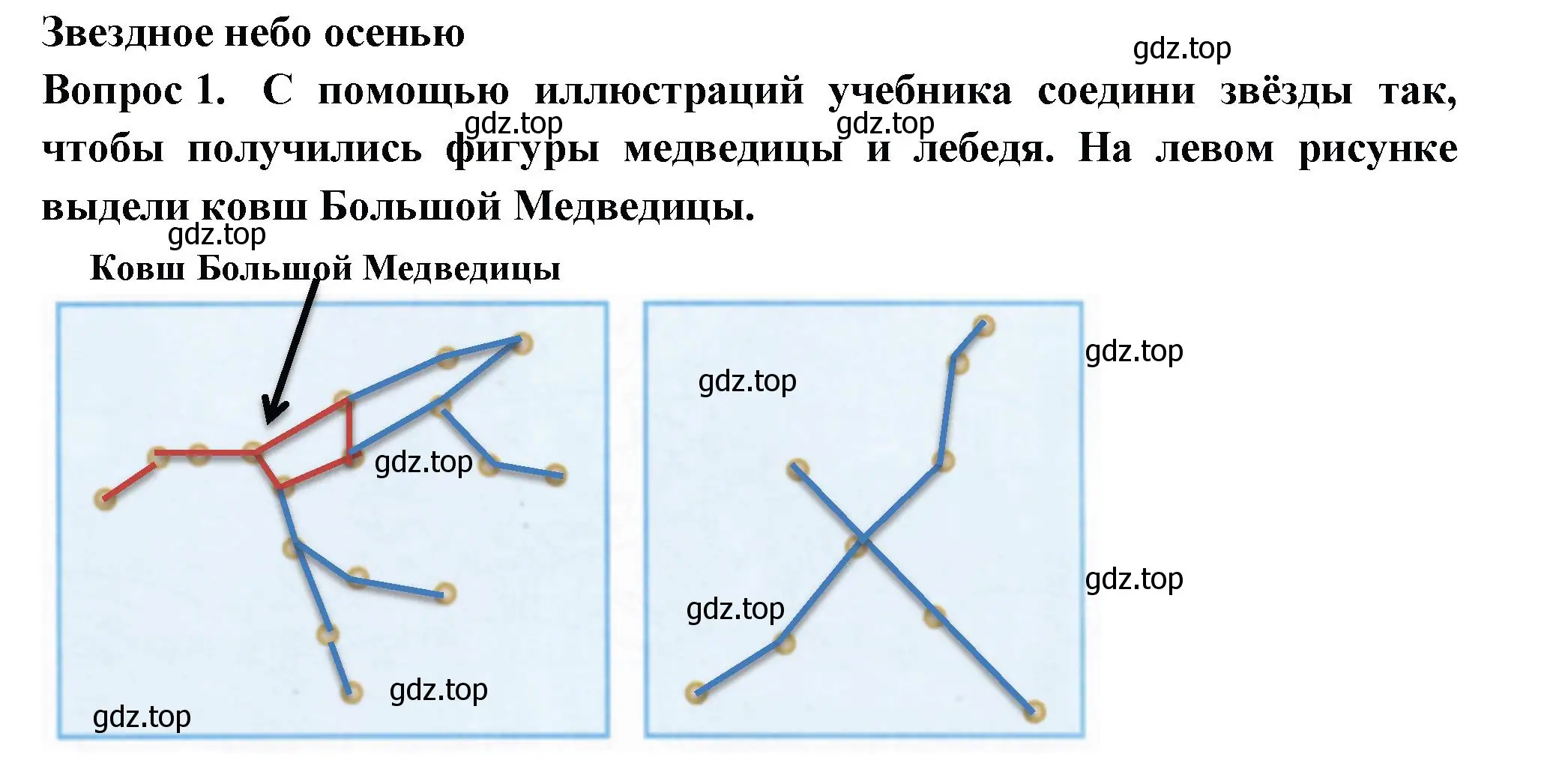 Решение номер 1 (страница 42) гдз по окружающему миру 2 класс Плешаков, Новицкая, рабочая тетрадь 1 часть