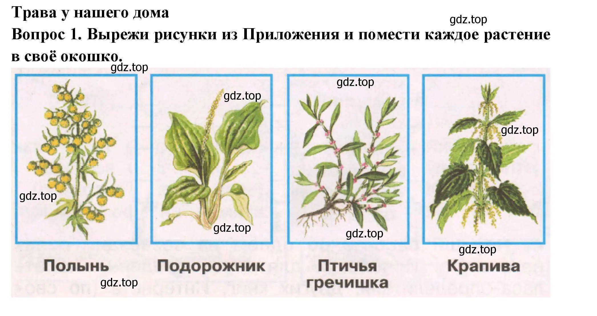 Решение номер 1 (страница 44) гдз по окружающему миру 2 класс Плешаков, Новицкая, рабочая тетрадь 1 часть