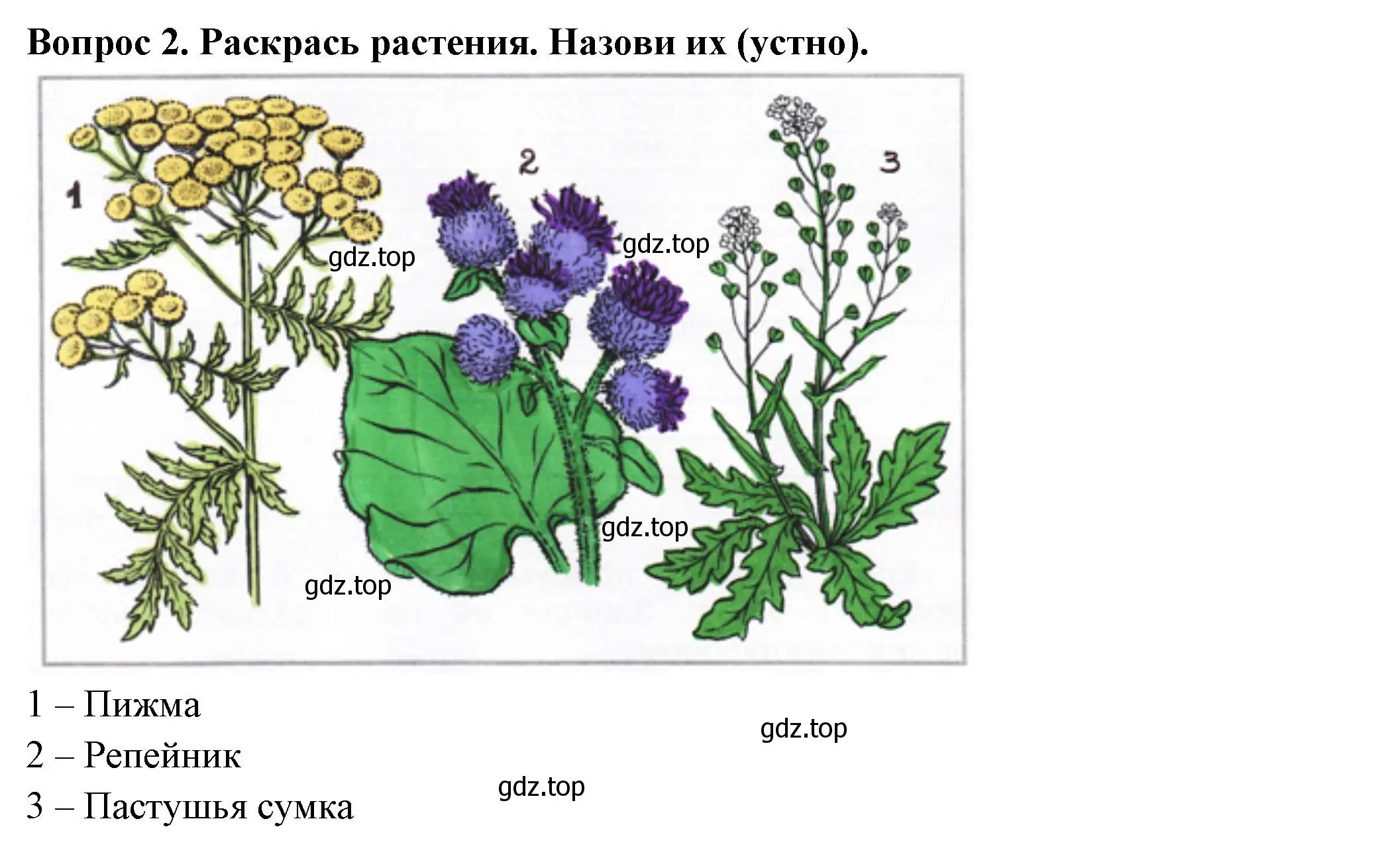 Решение номер 2 (страница 44) гдз по окружающему миру 2 класс Плешаков, Новицкая, рабочая тетрадь 1 часть