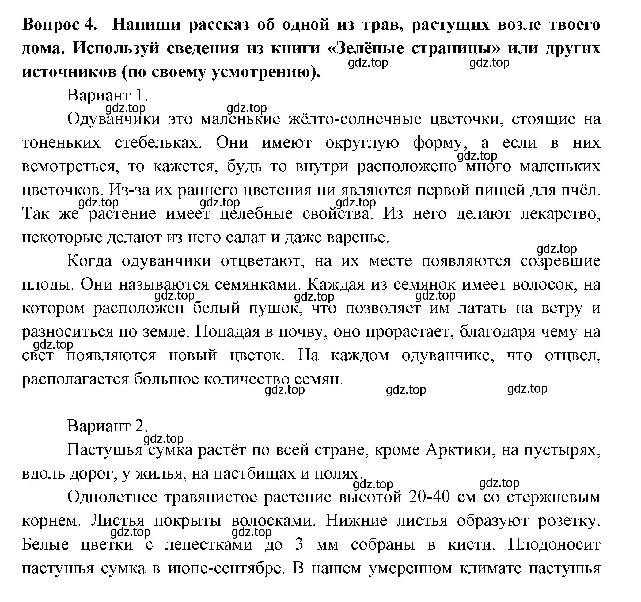 Решение номер 4 (страница 45) гдз по окружающему миру 2 класс Плешаков, Новицкая, рабочая тетрадь 1 часть