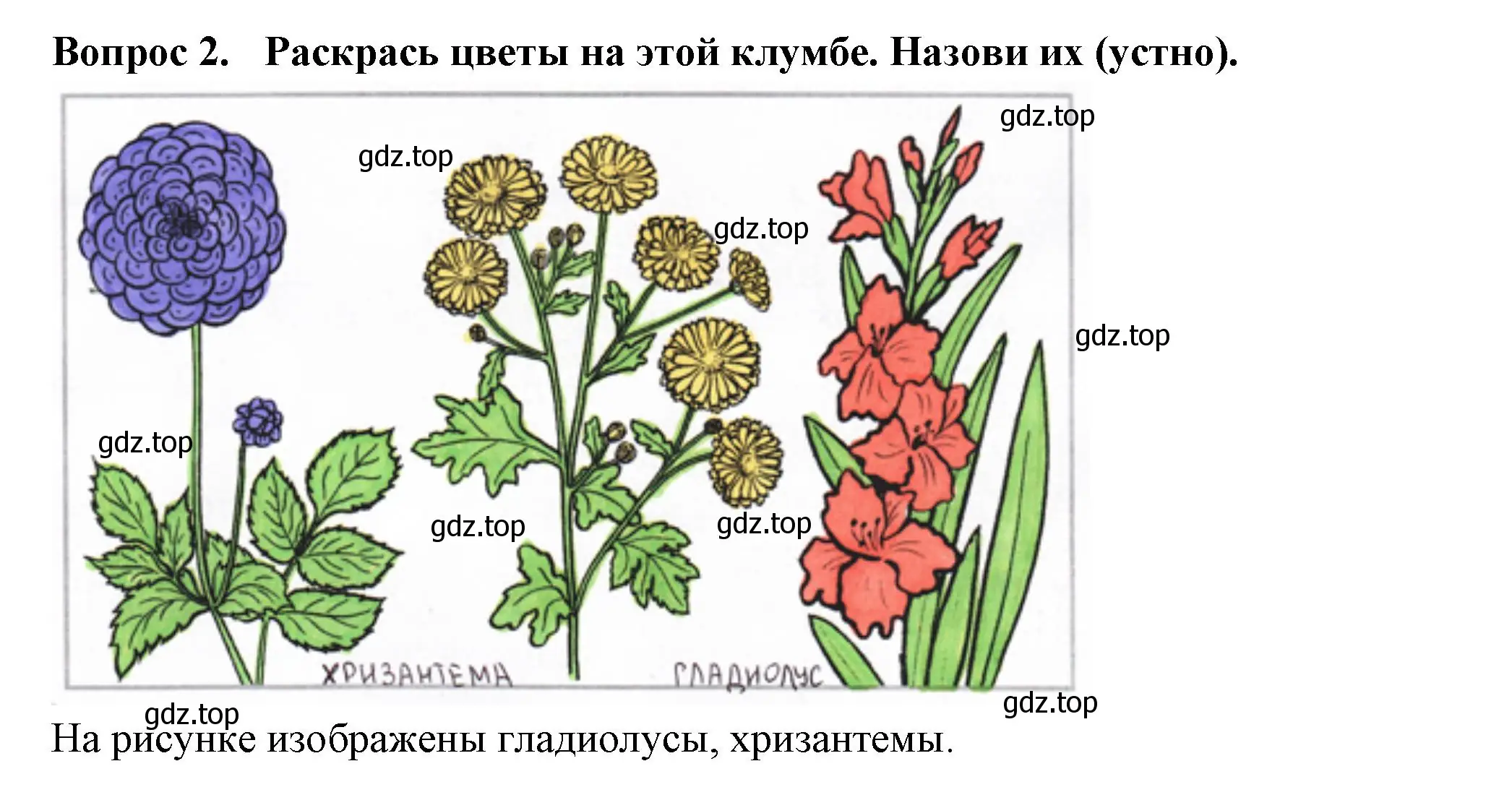 Решение номер 2 (страница 50) гдз по окружающему миру 2 класс Плешаков, Новицкая, рабочая тетрадь 1 часть