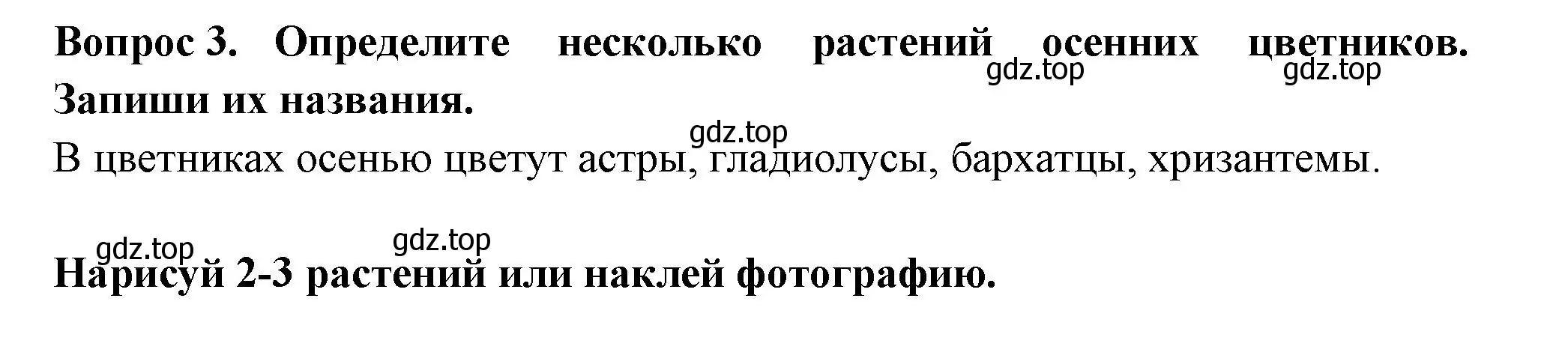 Решение номер 3 (страница 51) гдз по окружающему миру 2 класс Плешаков, Новицкая, рабочая тетрадь 1 часть