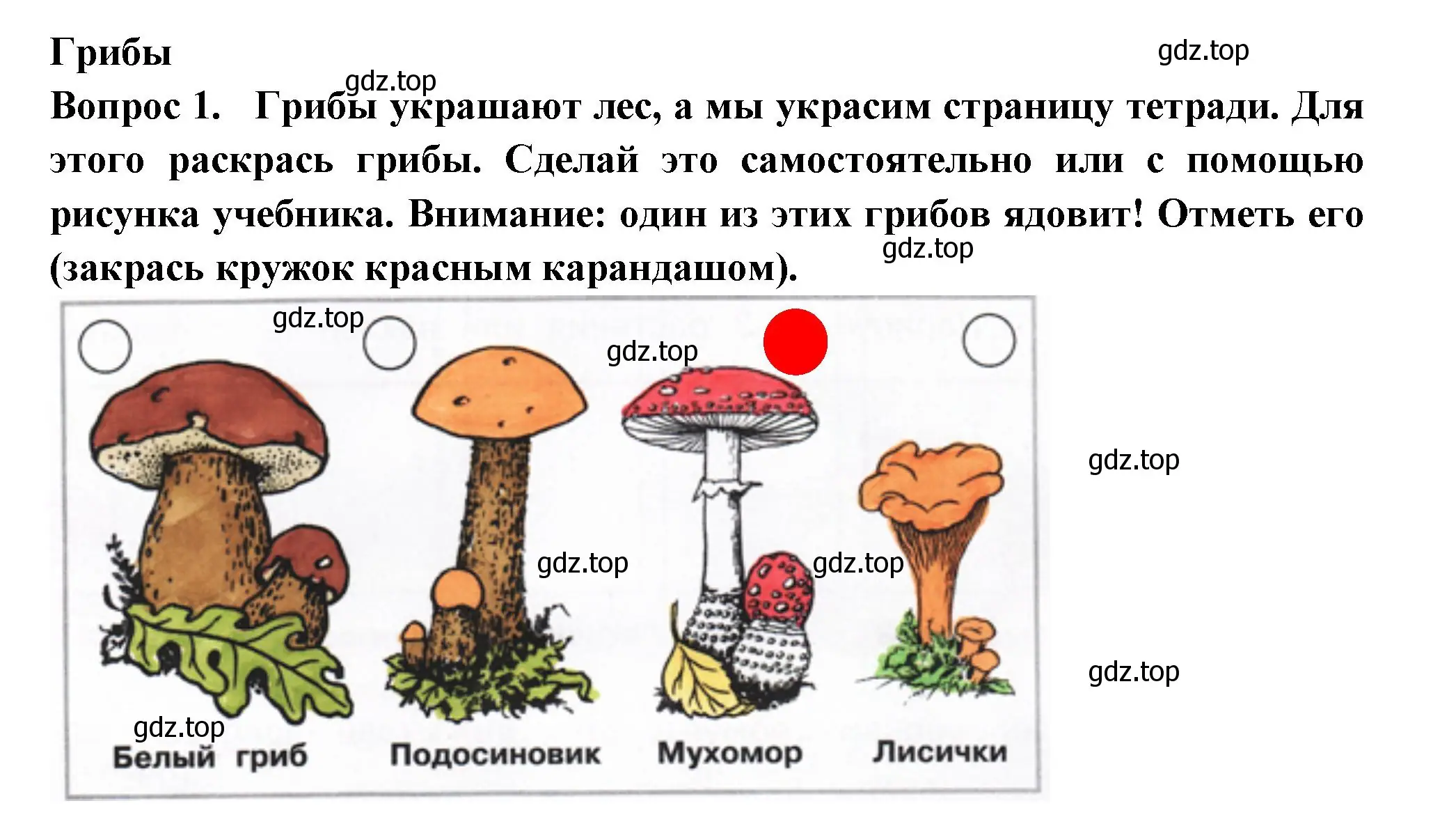 Решение номер 1 (страница 52) гдз по окружающему миру 2 класс Плешаков, Новицкая, рабочая тетрадь 1 часть