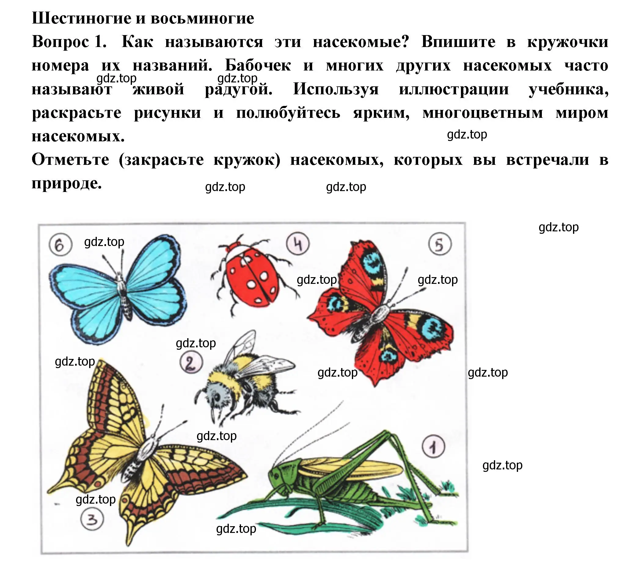 Решение номер 1 (страница 54) гдз по окружающему миру 2 класс Плешаков, Новицкая, рабочая тетрадь 1 часть