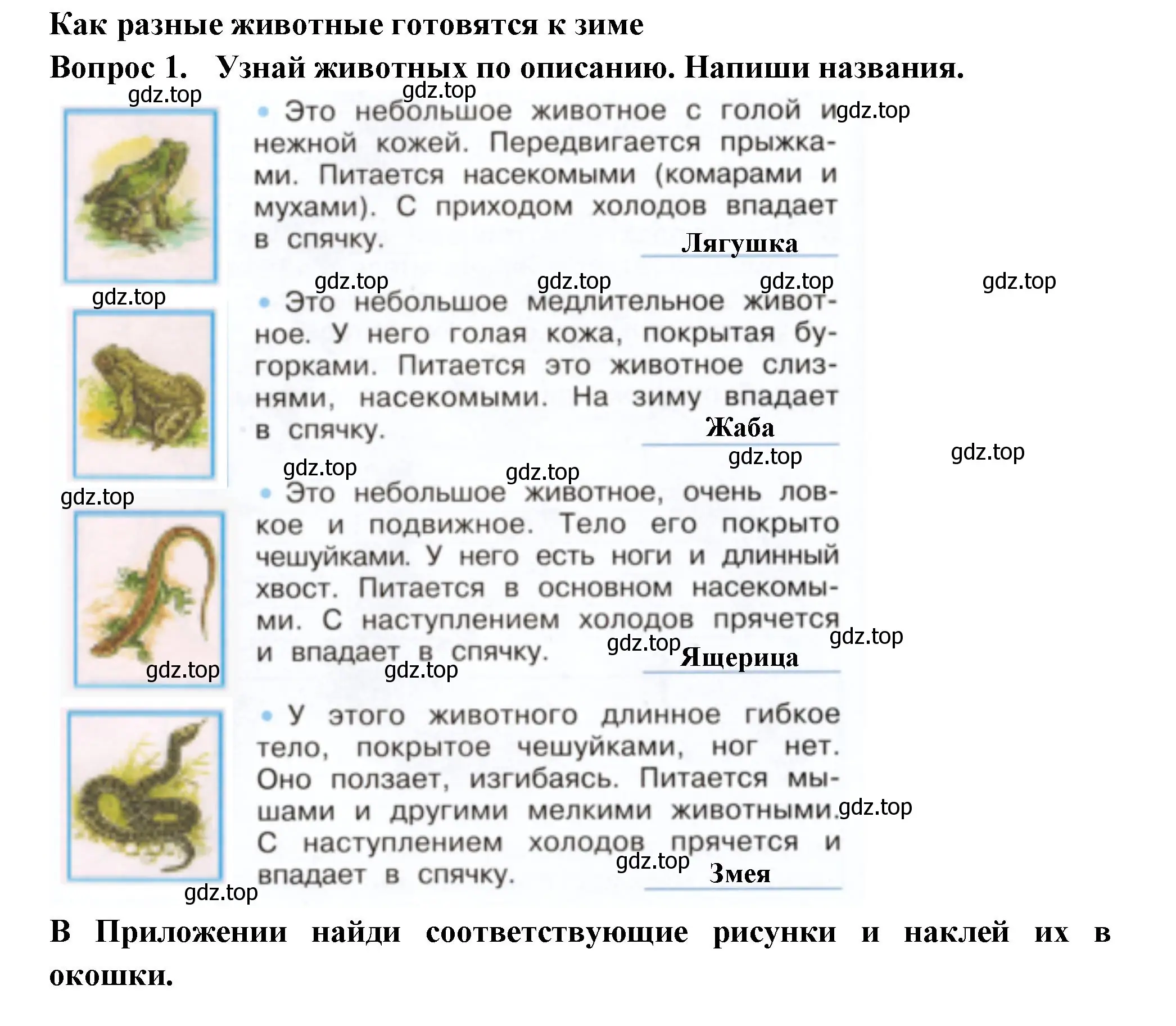 Решение номер 1 (страница 58) гдз по окружающему миру 2 класс Плешаков, Новицкая, рабочая тетрадь 1 часть