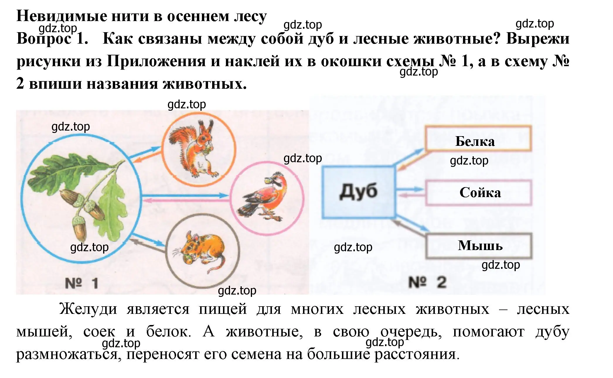 Решение номер 1 (страница 60) гдз по окружающему миру 2 класс Плешаков, Новицкая, рабочая тетрадь 1 часть