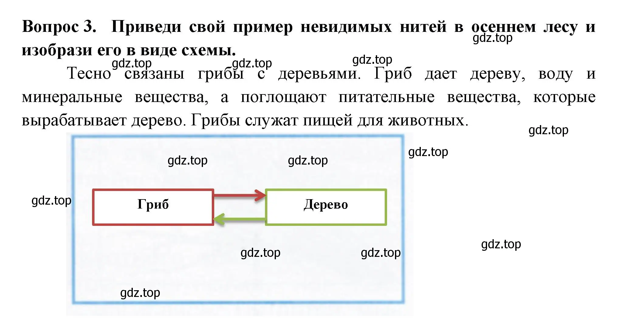 Решение номер 3 (страница 61) гдз по окружающему миру 2 класс Плешаков, Новицкая, рабочая тетрадь 1 часть