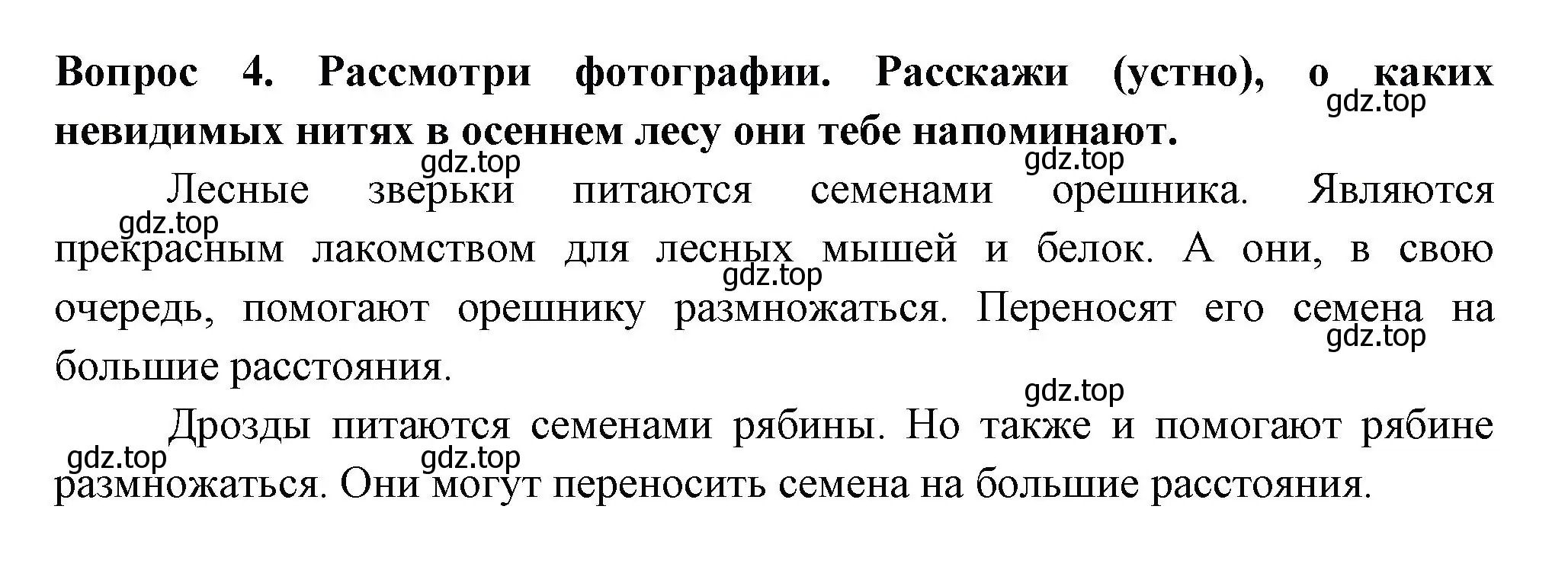 Решение номер 4 (страница 61) гдз по окружающему миру 2 класс Плешаков, Новицкая, рабочая тетрадь 1 часть