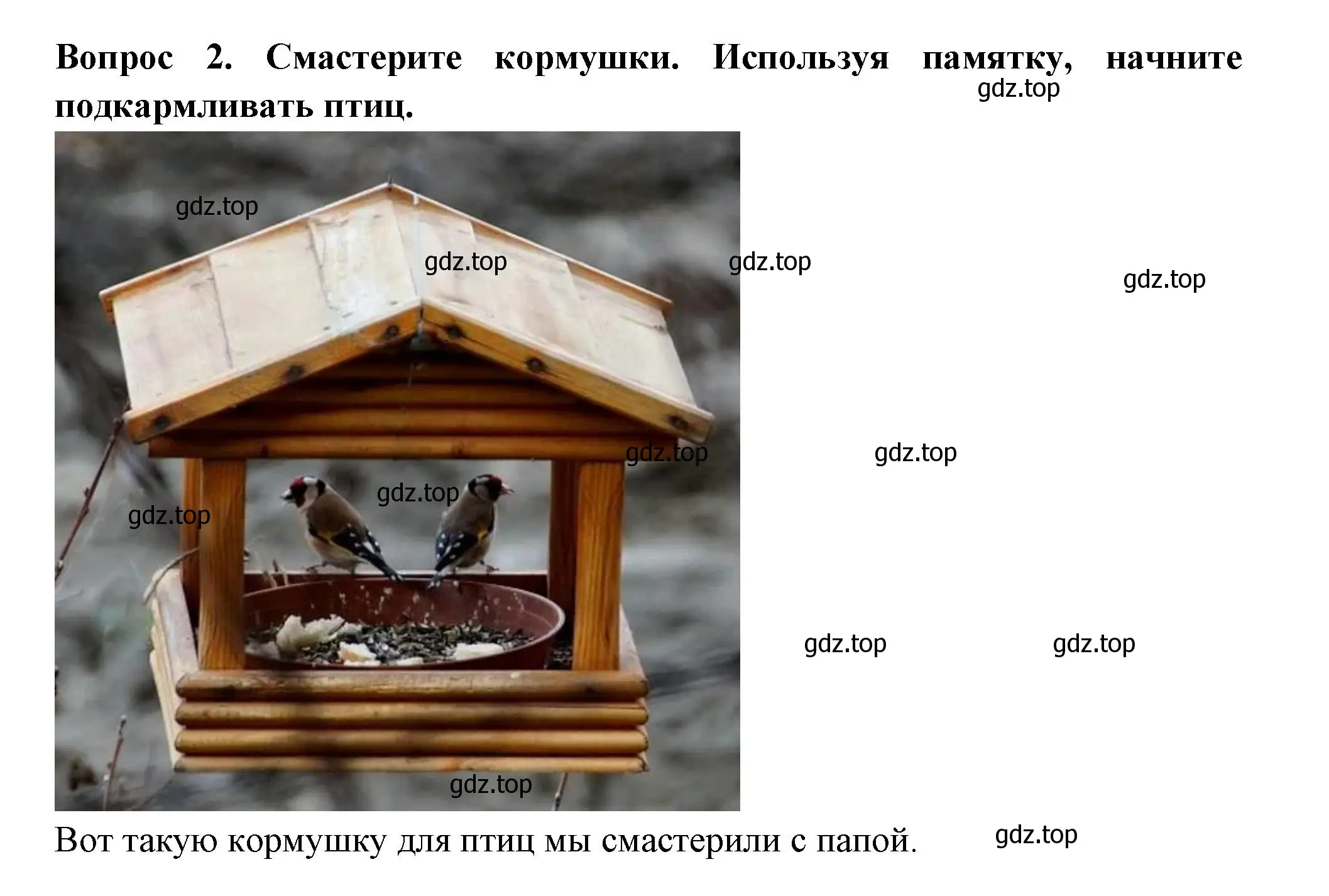 Решение номер 2 (страница 67) гдз по окружающему миру 2 класс Плешаков, Новицкая, рабочая тетрадь 1 часть