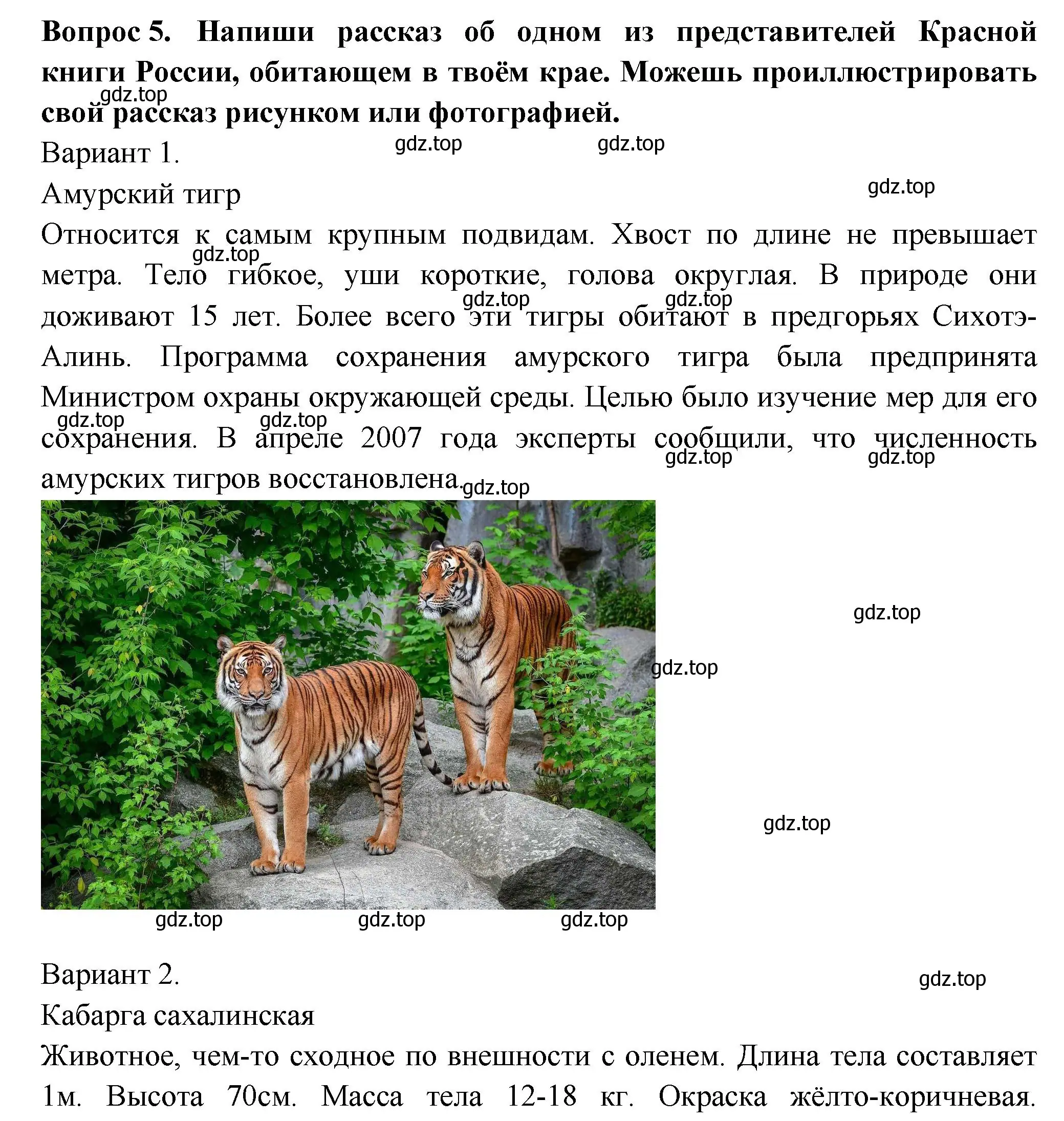 Решение номер 5 (страница 69) гдз по окружающему миру 2 класс Плешаков, Новицкая, рабочая тетрадь 1 часть