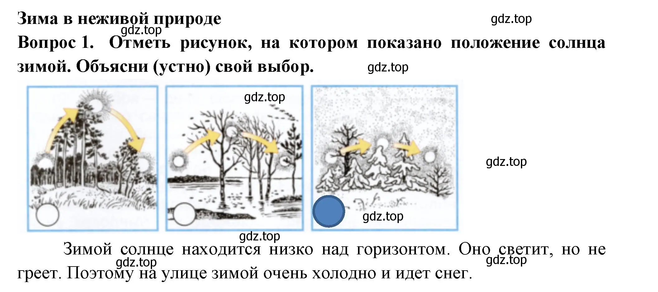 Решение номер 1 (страница 8) гдз по окружающему миру 2 класс Плешаков, Новицкая, рабочая тетрадь 2 часть